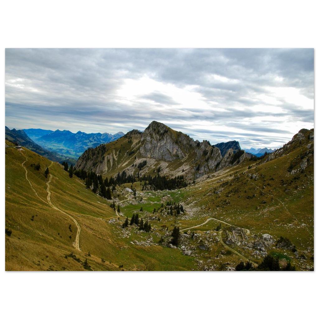 a67dee8b-3391-4602-a50f-9873dc4ce378