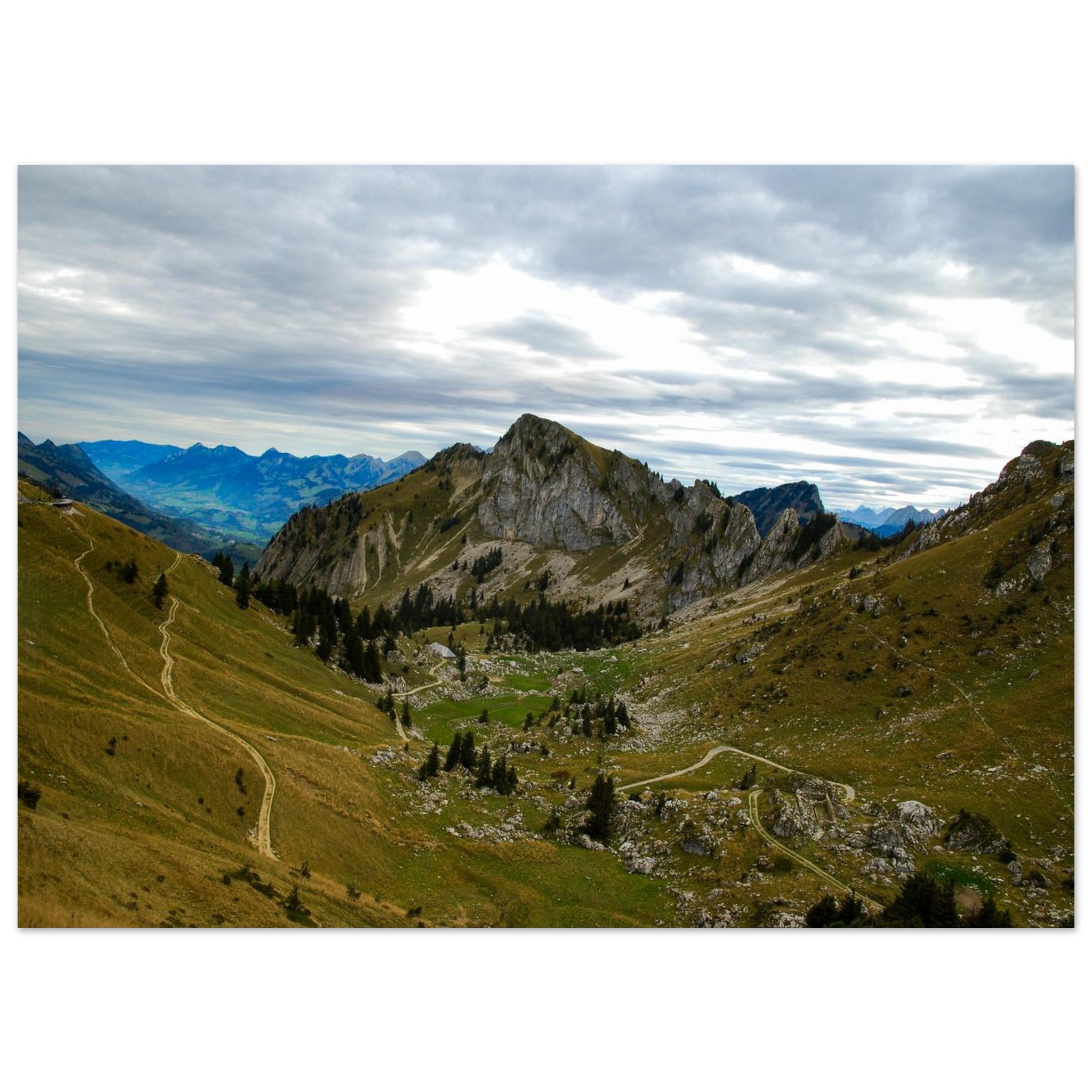 a67dee8b-3391-4602-a50f-9873dc4ce378