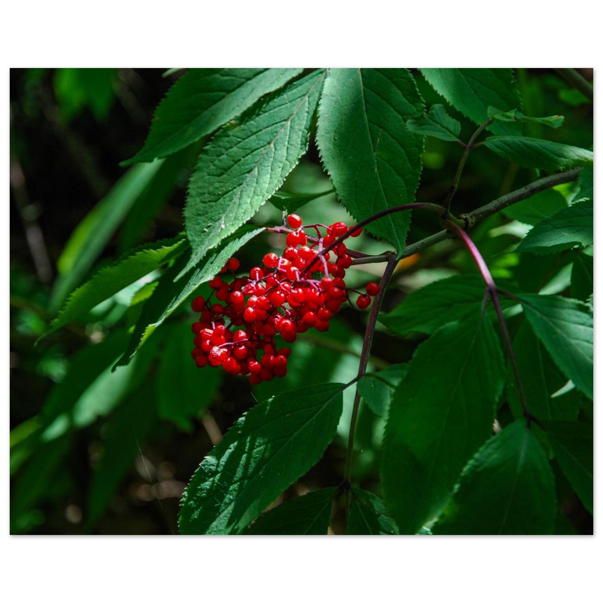 a7069f2b-01b4-4e06-886e-17cc6ecd3c96