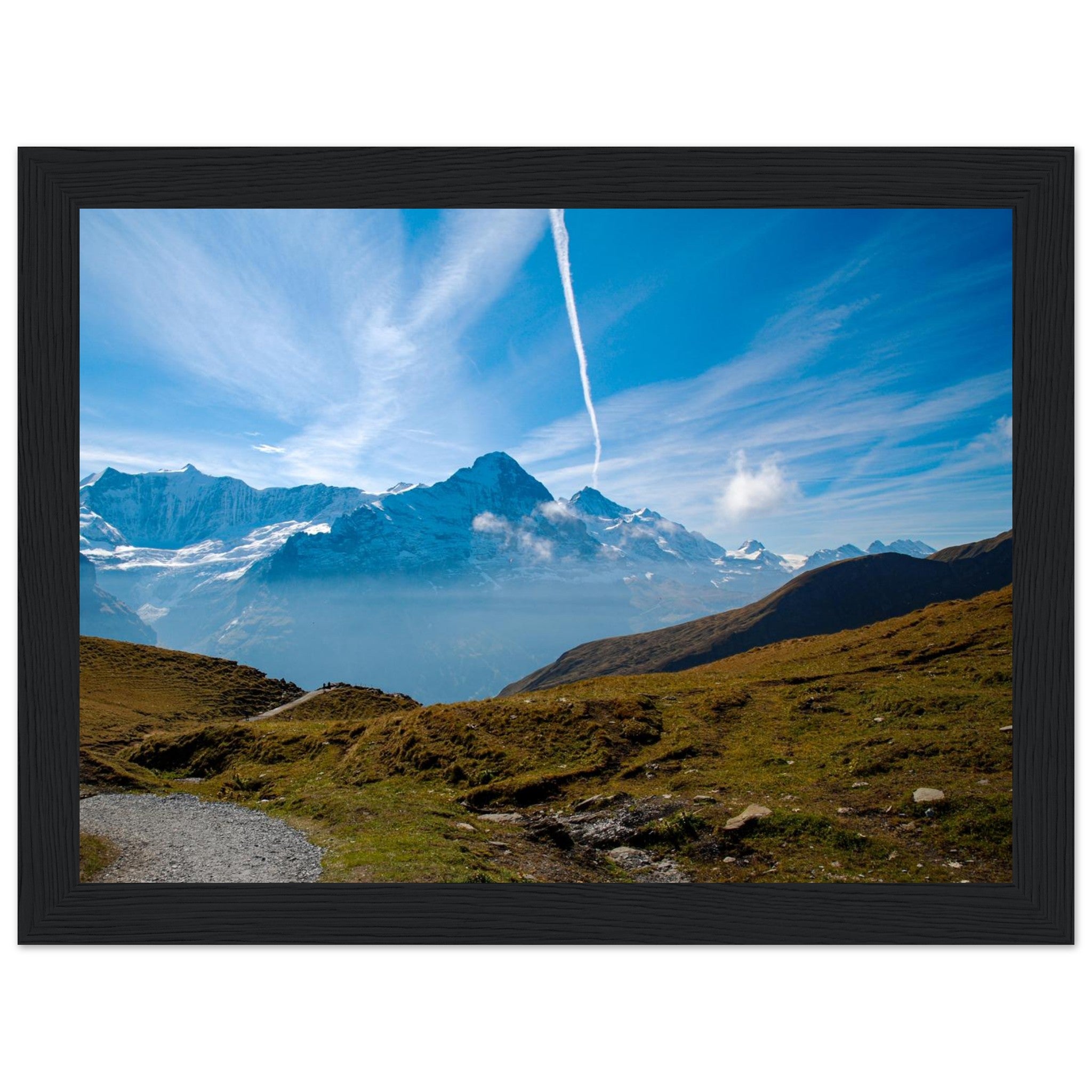 a72454b5-fae4-4547-87a9-62870735f281