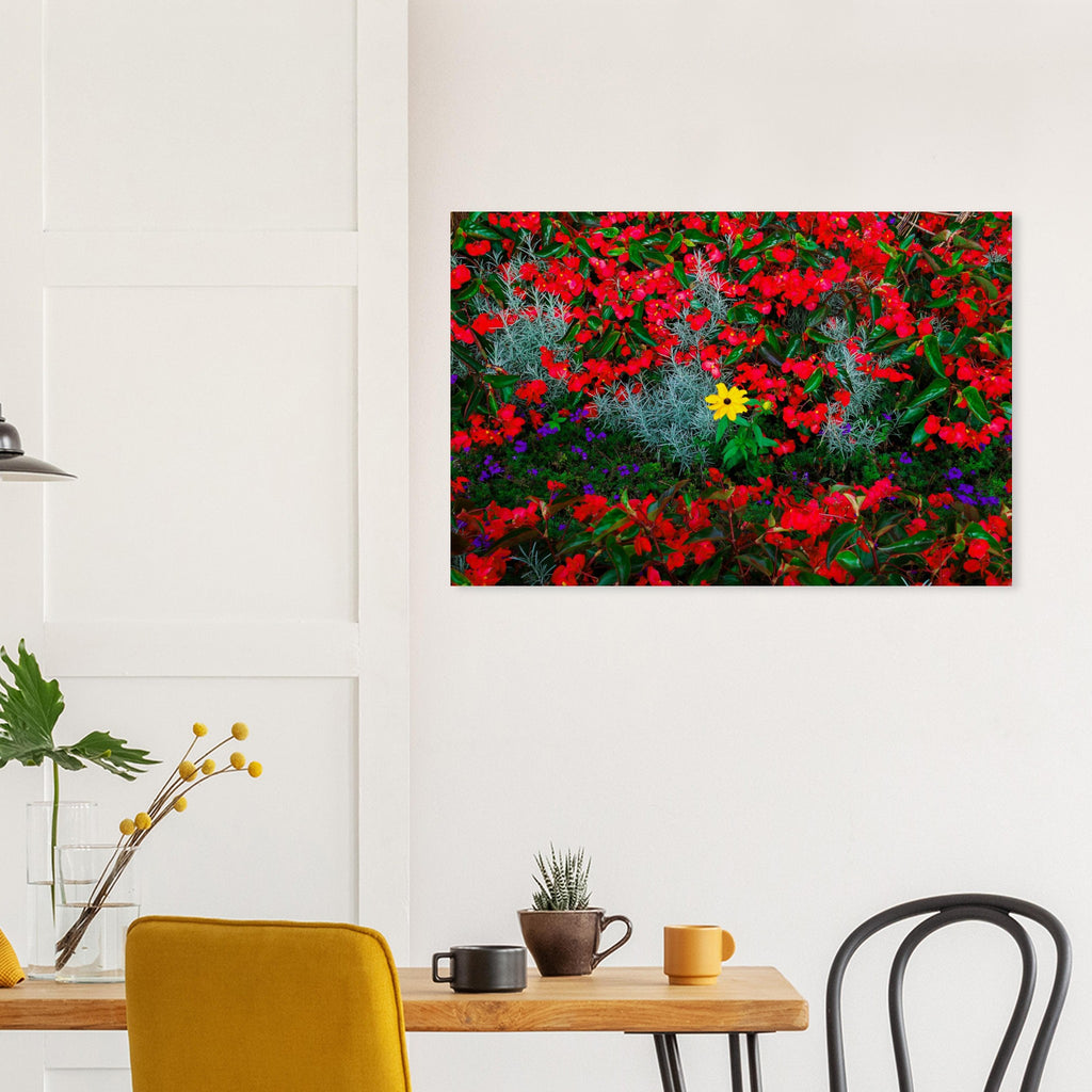 a72a1a5e-0afc-4ad3-a775-768ee3dd951d