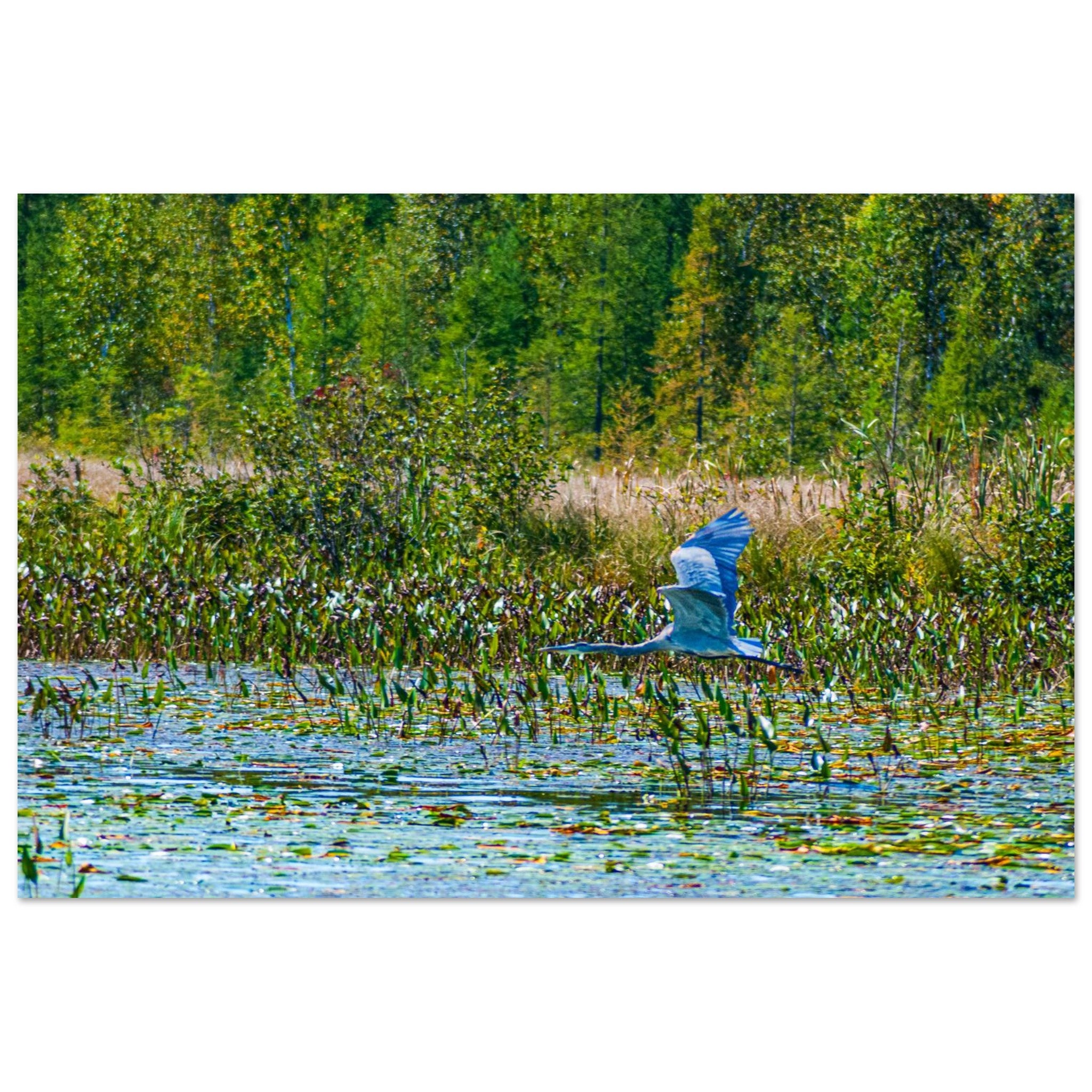 a81dc449-c051-492f-a0a6-dd6c7c9bf2b2