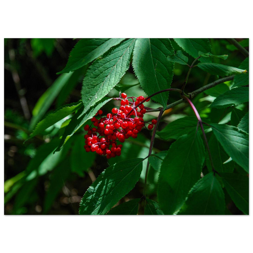 a8a6d54e-352d-407c-824b-375690747f1a