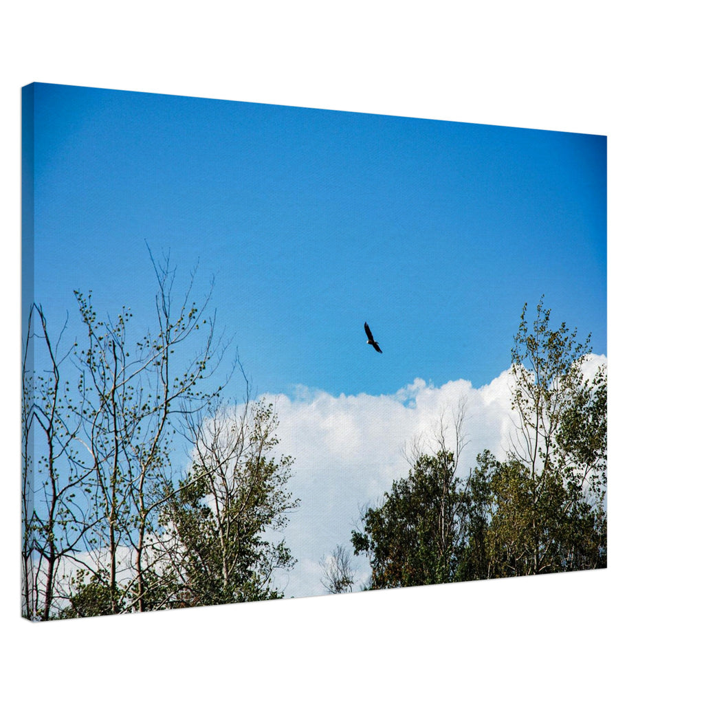 a9ecd07e-0e09-449a-956d-43a1a349b6eb