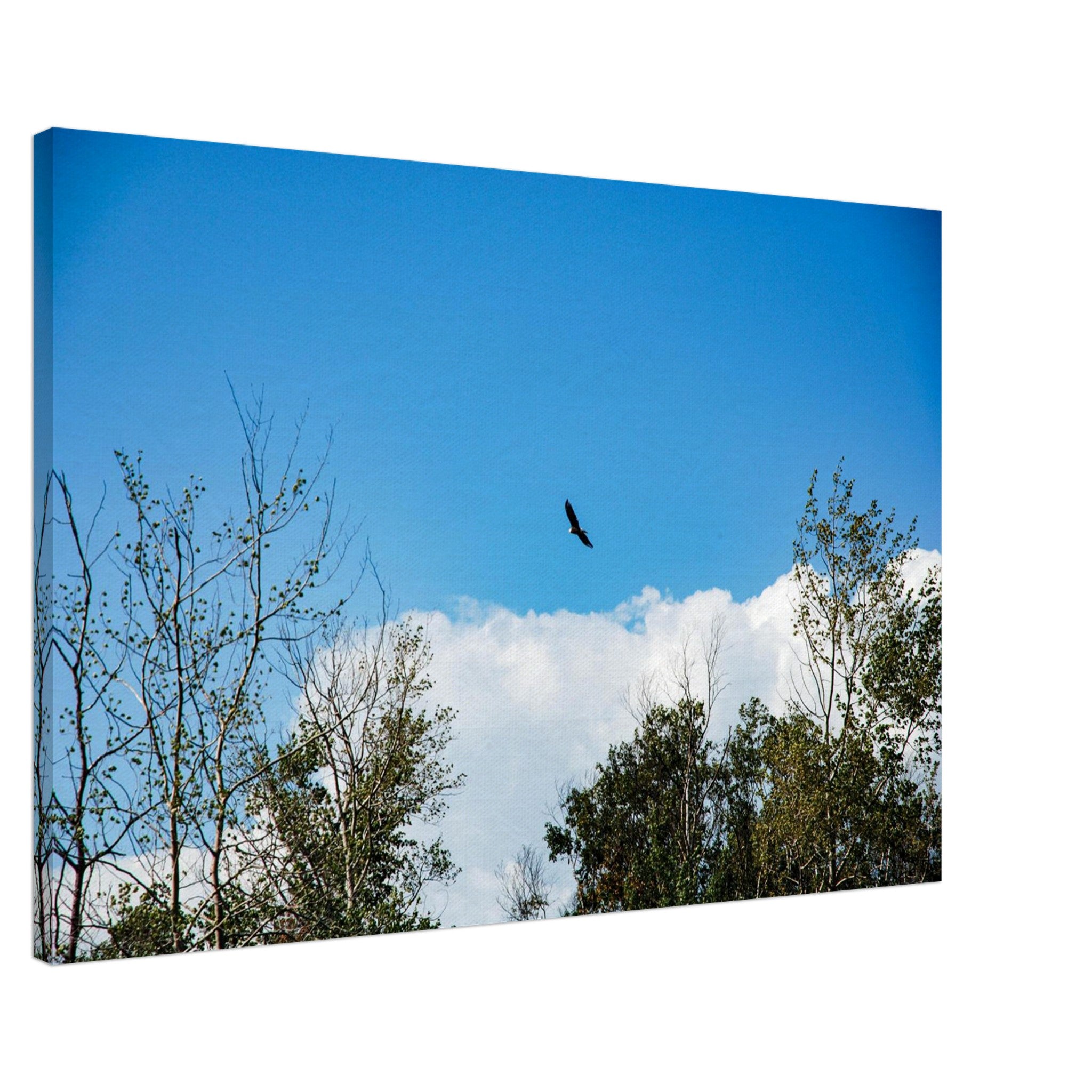 a9ecd07e-0e09-449a-956d-43a1a349b6eb