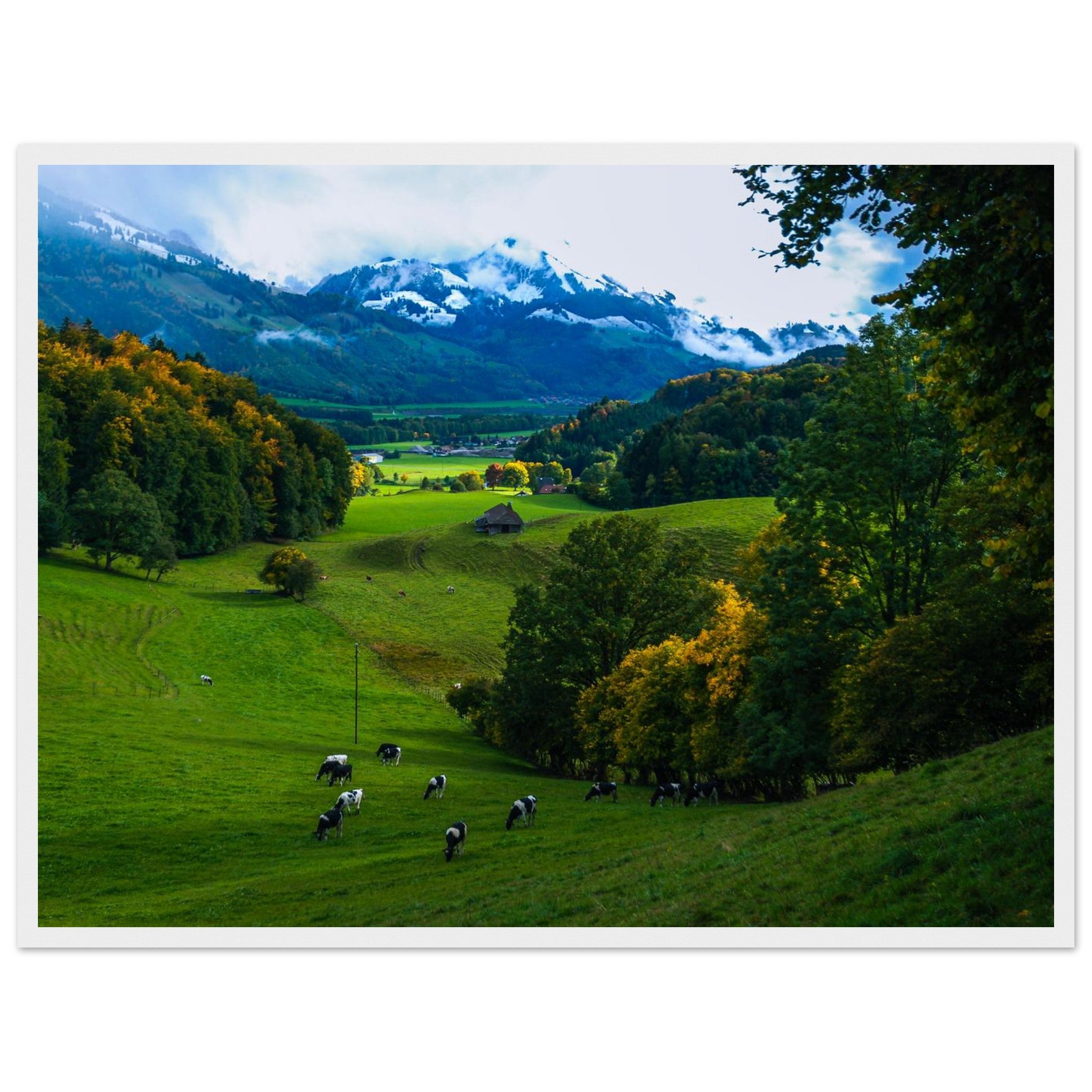 aa114187-dbc0-4531-9d6e-0c8ee0a0cd3c