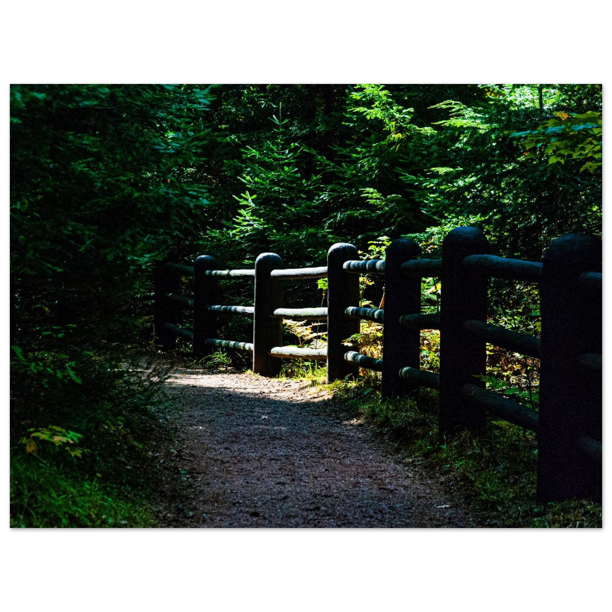 ab7651a8-5581-4814-bef9-a03317d55777