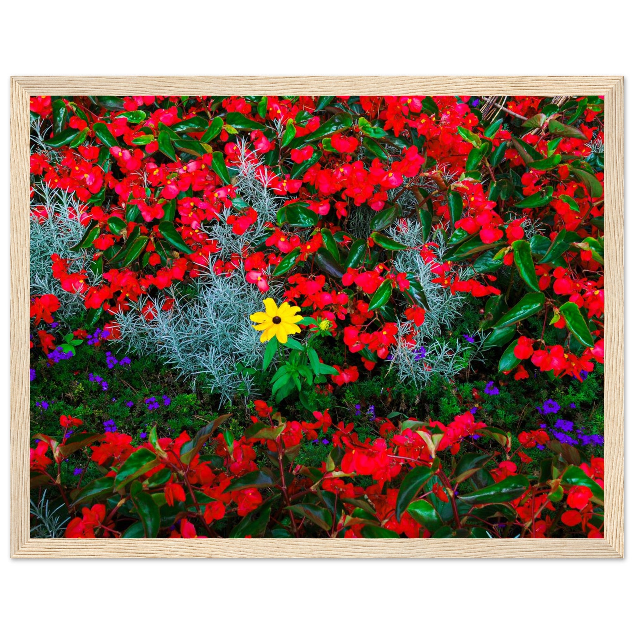 ac4f12a5-b433-4248-b6da-571a0817b555