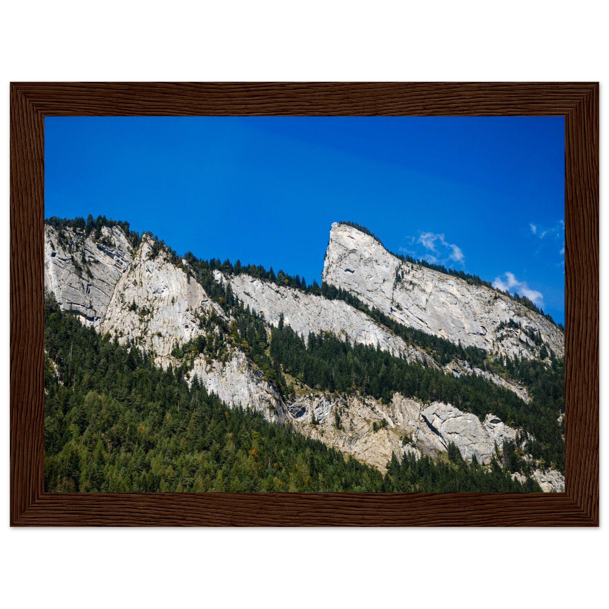 aca2a2e6-62aa-422c-9512-258fdcb32954