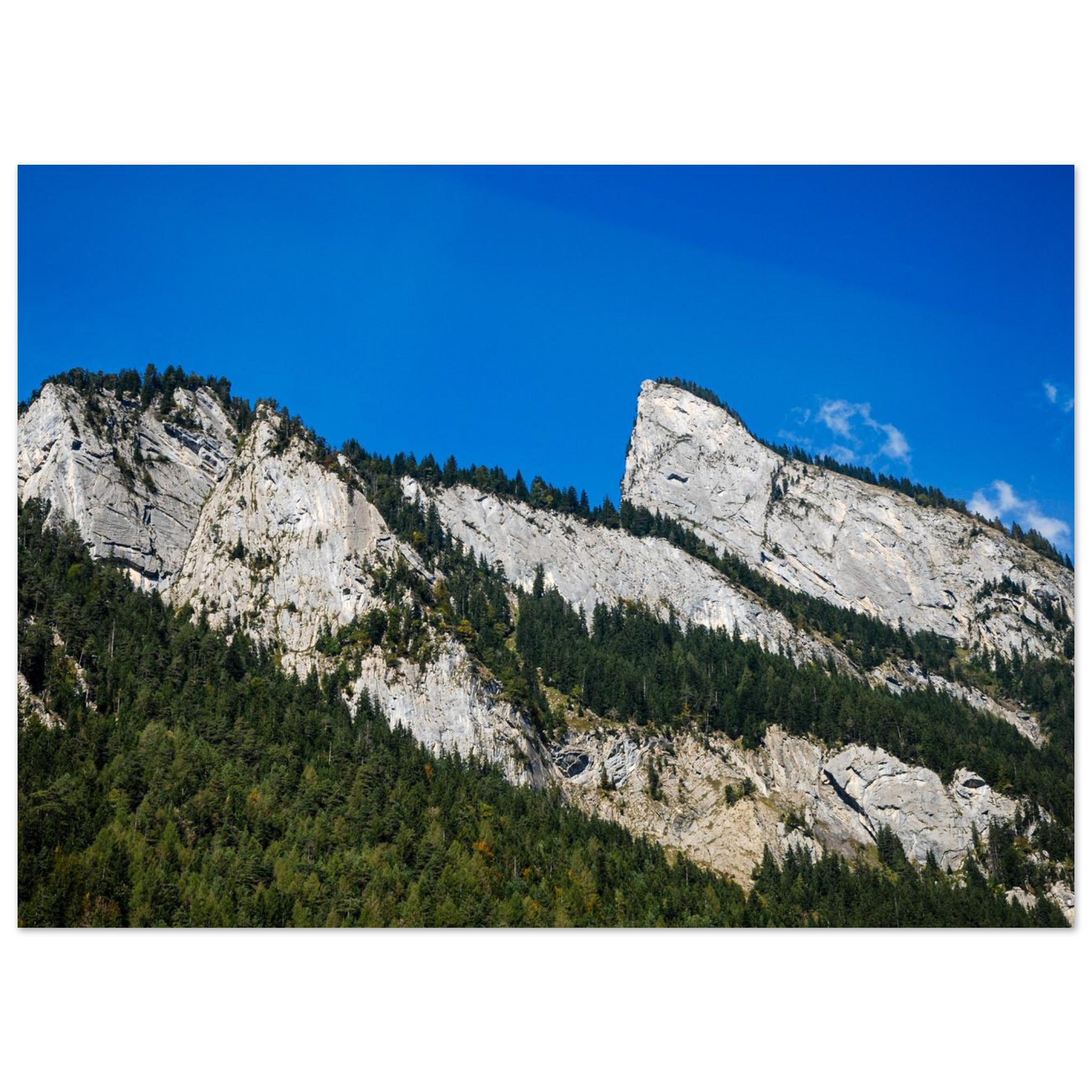 ae90e2e6-2b3c-44aa-9533-406c1175b2b0