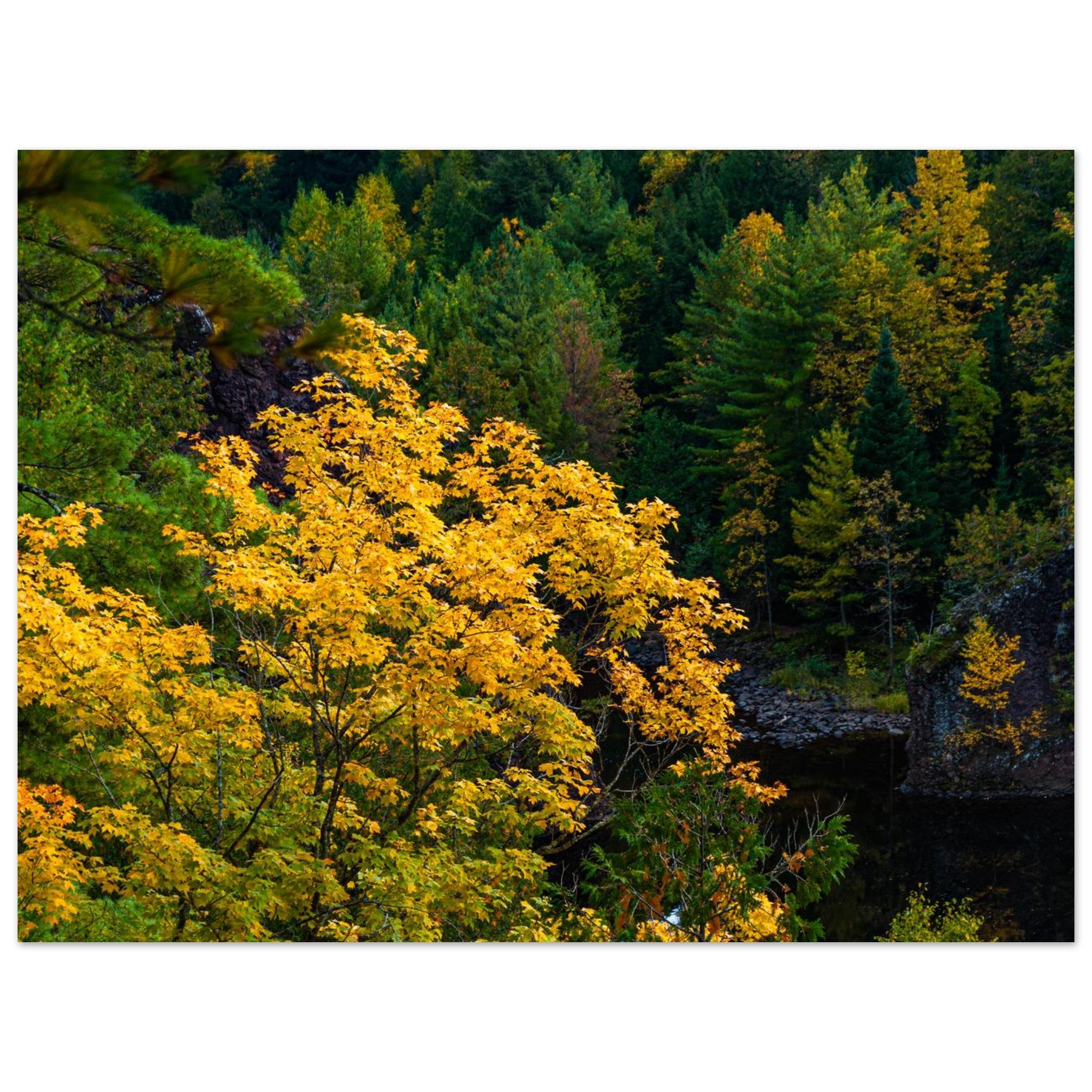 af5dae6d-0ec3-484c-8d08-a6164bf0bda6