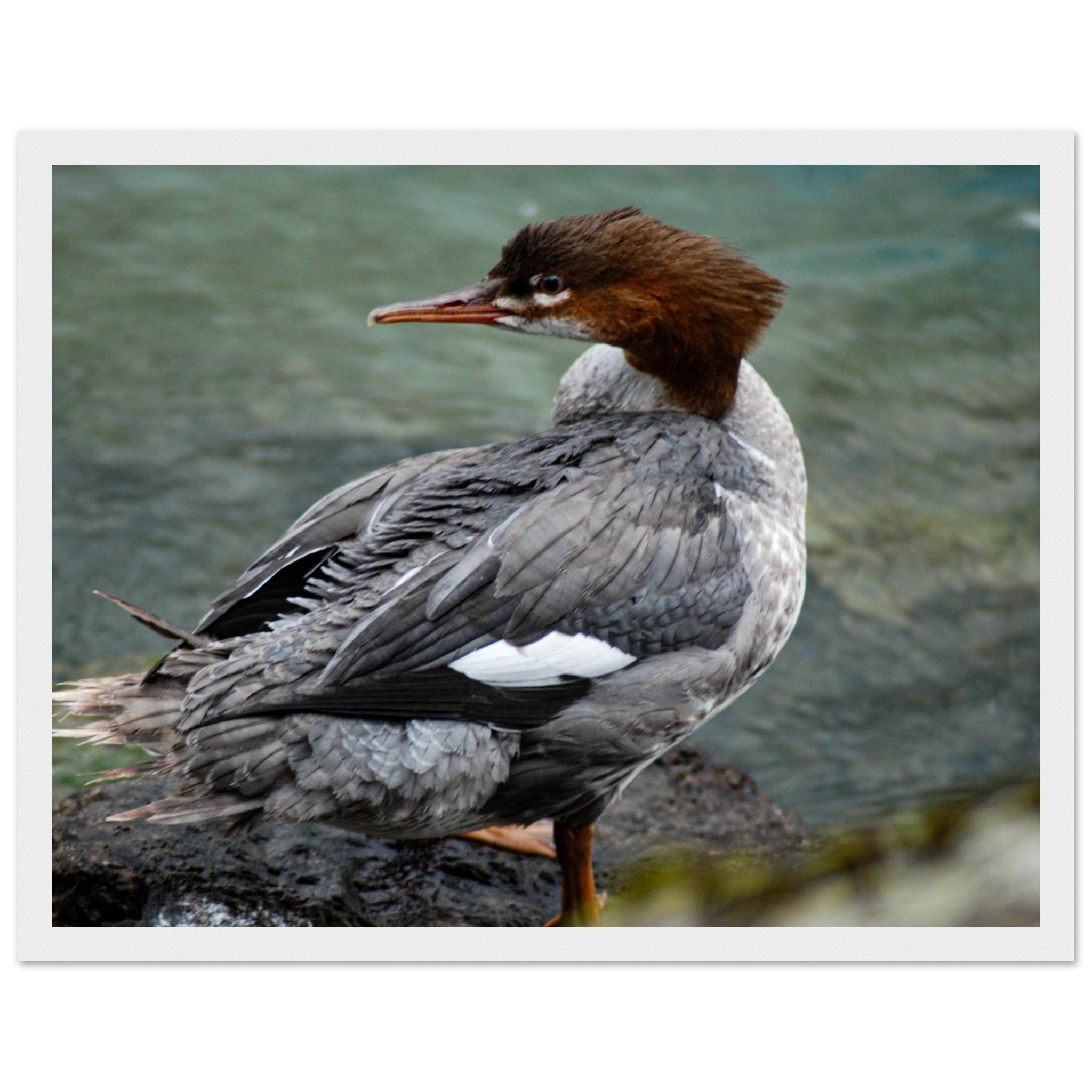 b00b74bd-277d-47f1-bb6b-3cab737be77f