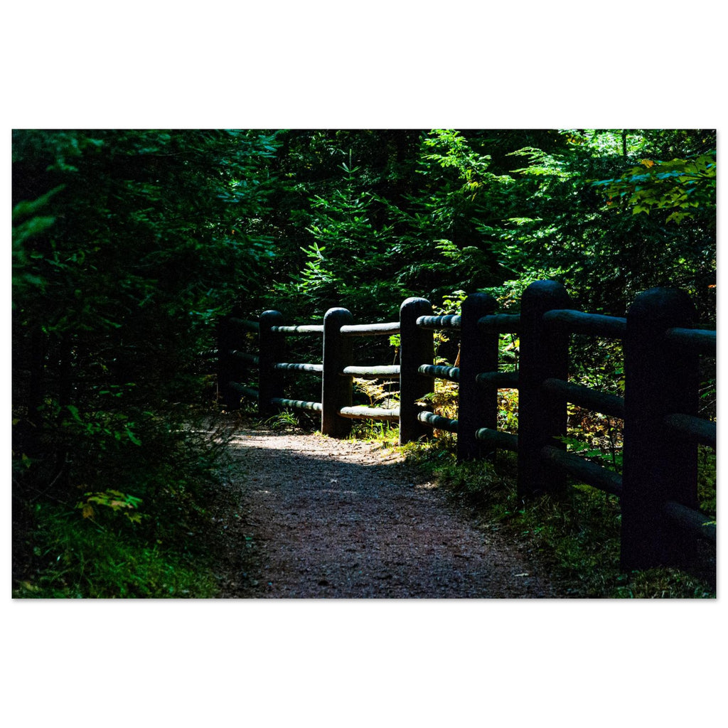 b0bd6da8-39dc-4c3d-b1f9-f5934388f03b