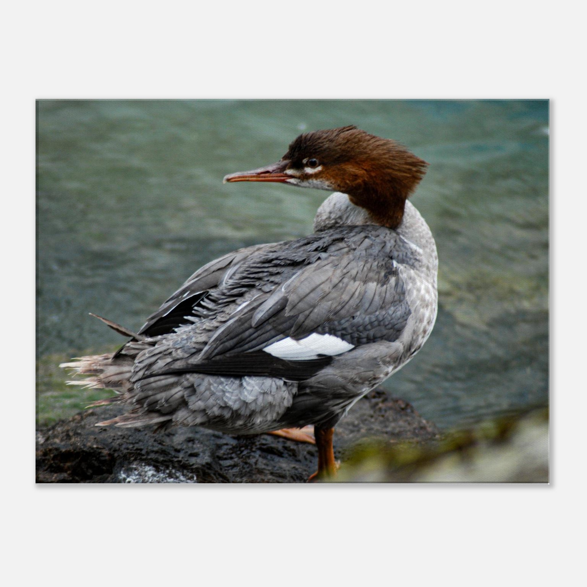 b0c6de6c-7219-426c-a494-bccc3461f72b