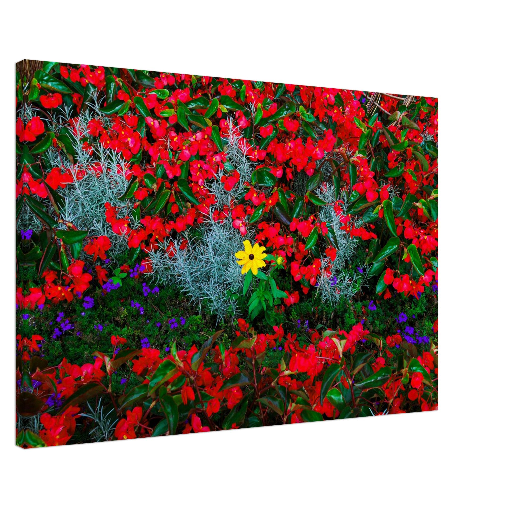 b1ab7f78-9ec0-41de-a186-3f099105e9c4