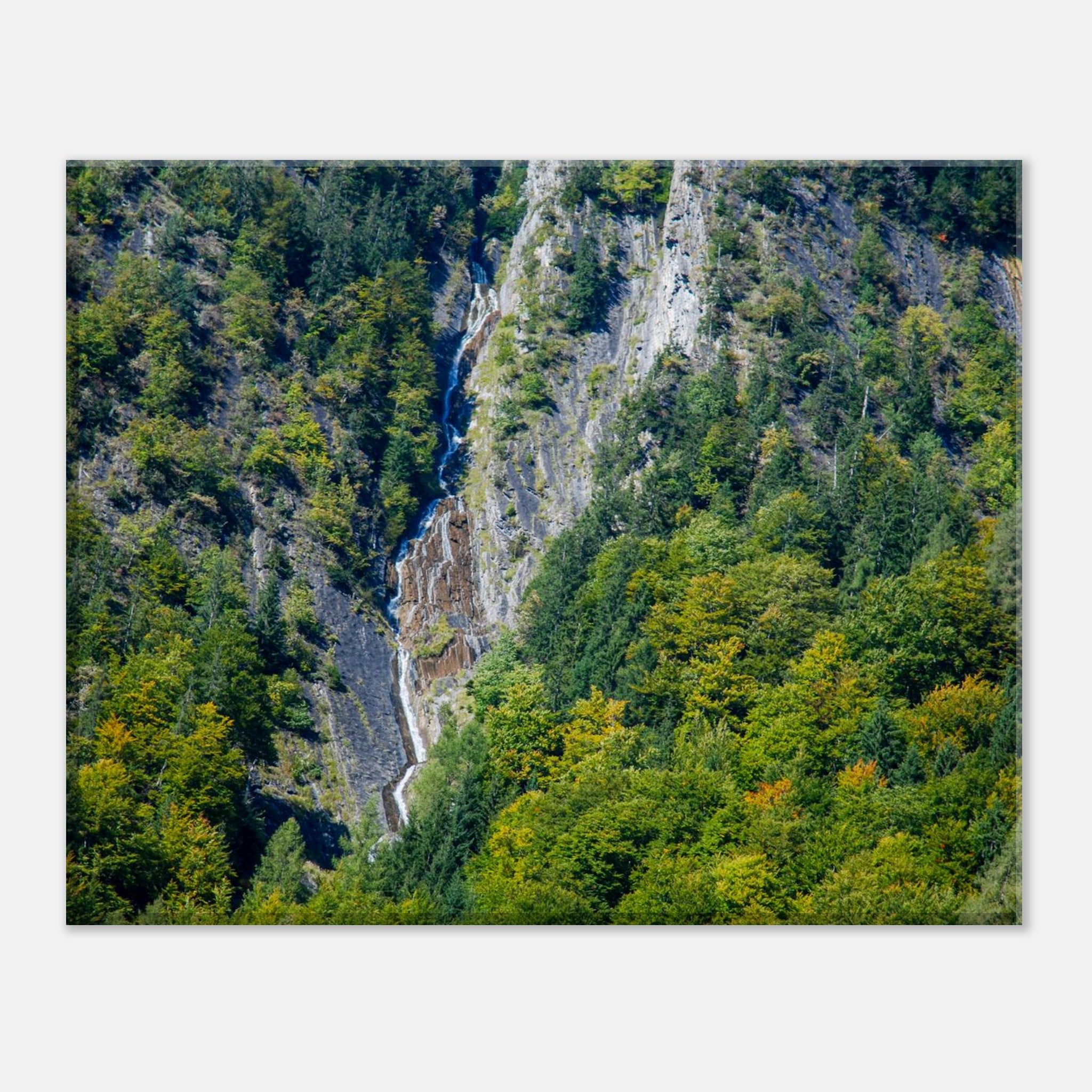 b1d45bd1-b28f-45f9-9664-c789cc17792d