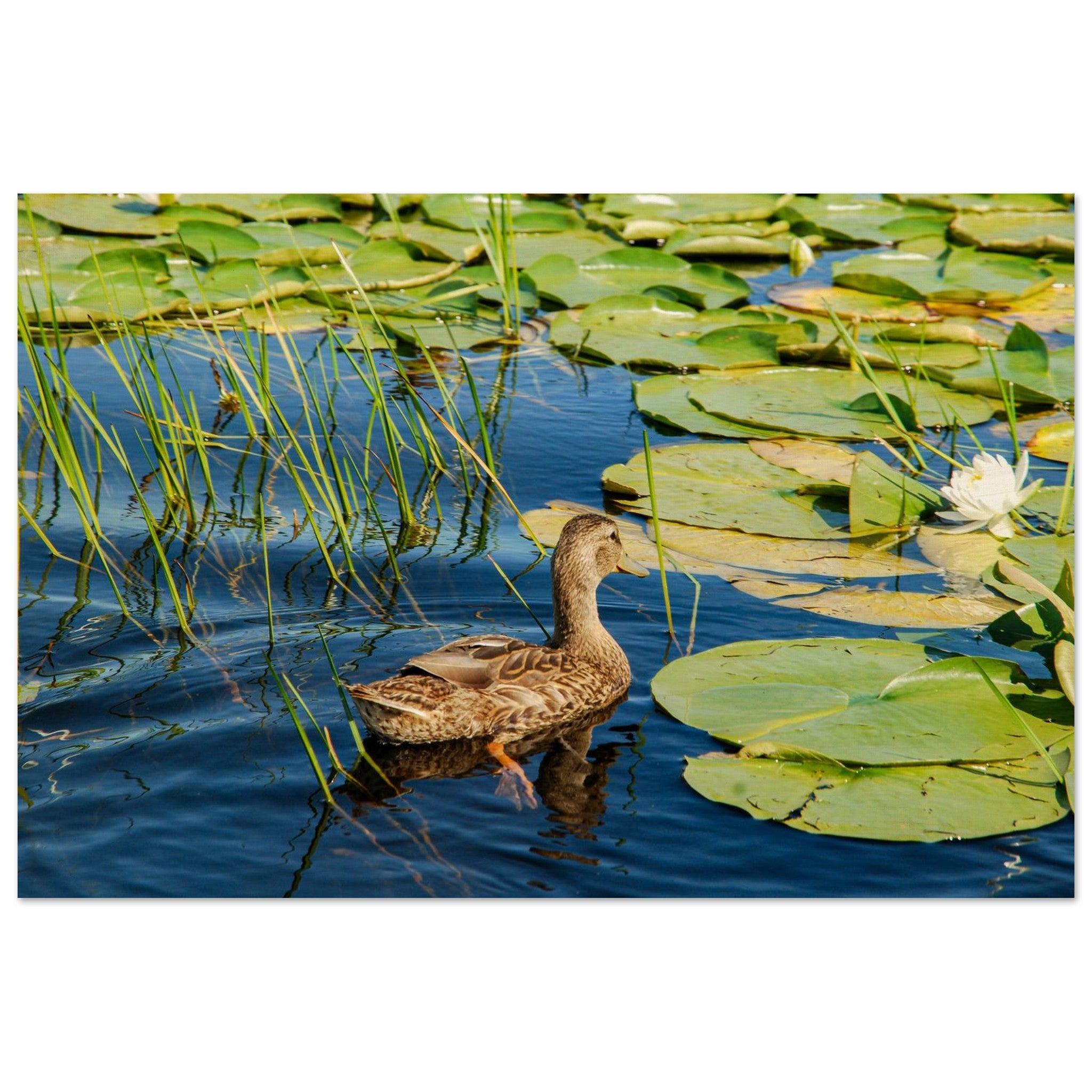 b288c218-6ad4-46e1-a8e1-f529d29061c3