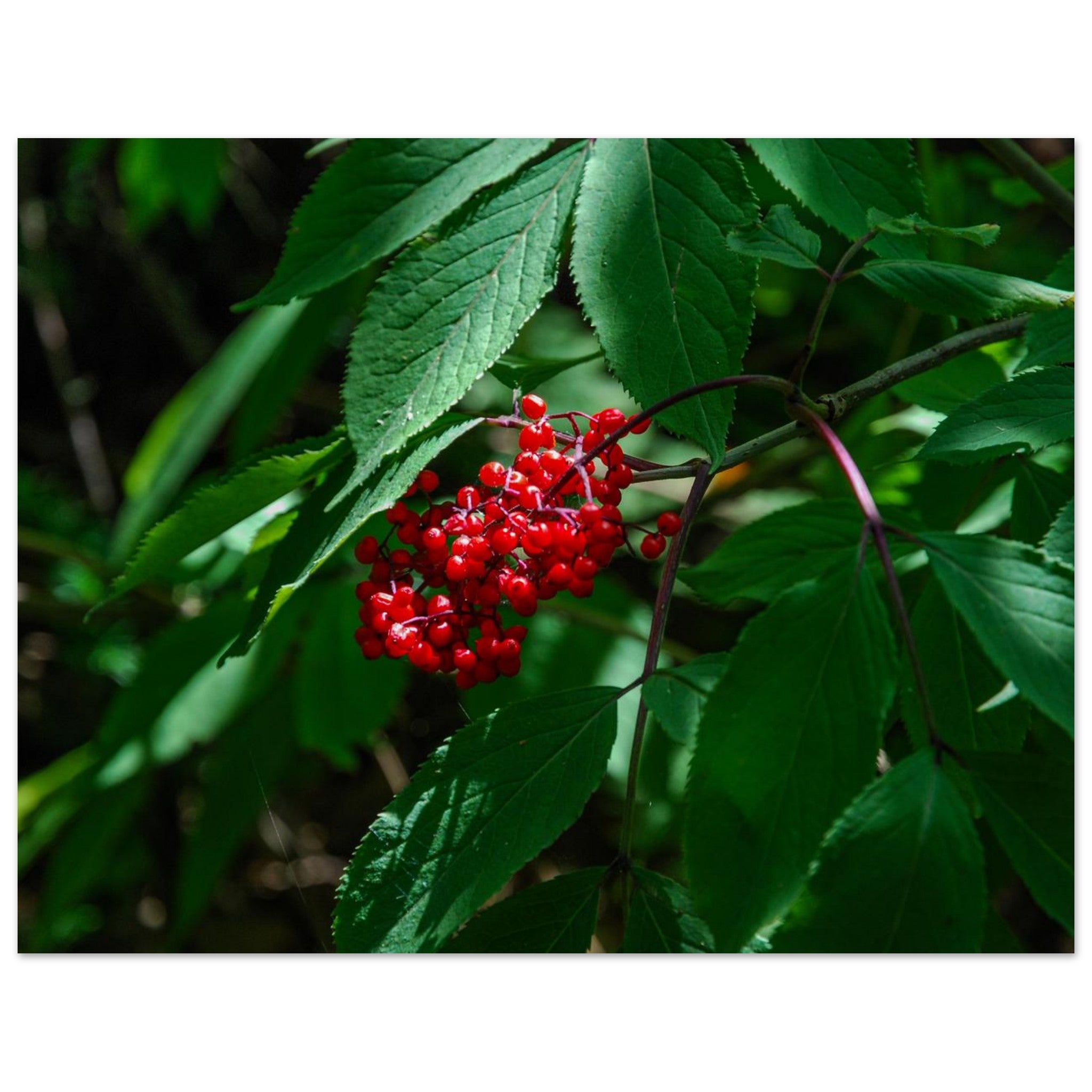 b2a49055-3e7a-4f90-9adb-dae740924bc4