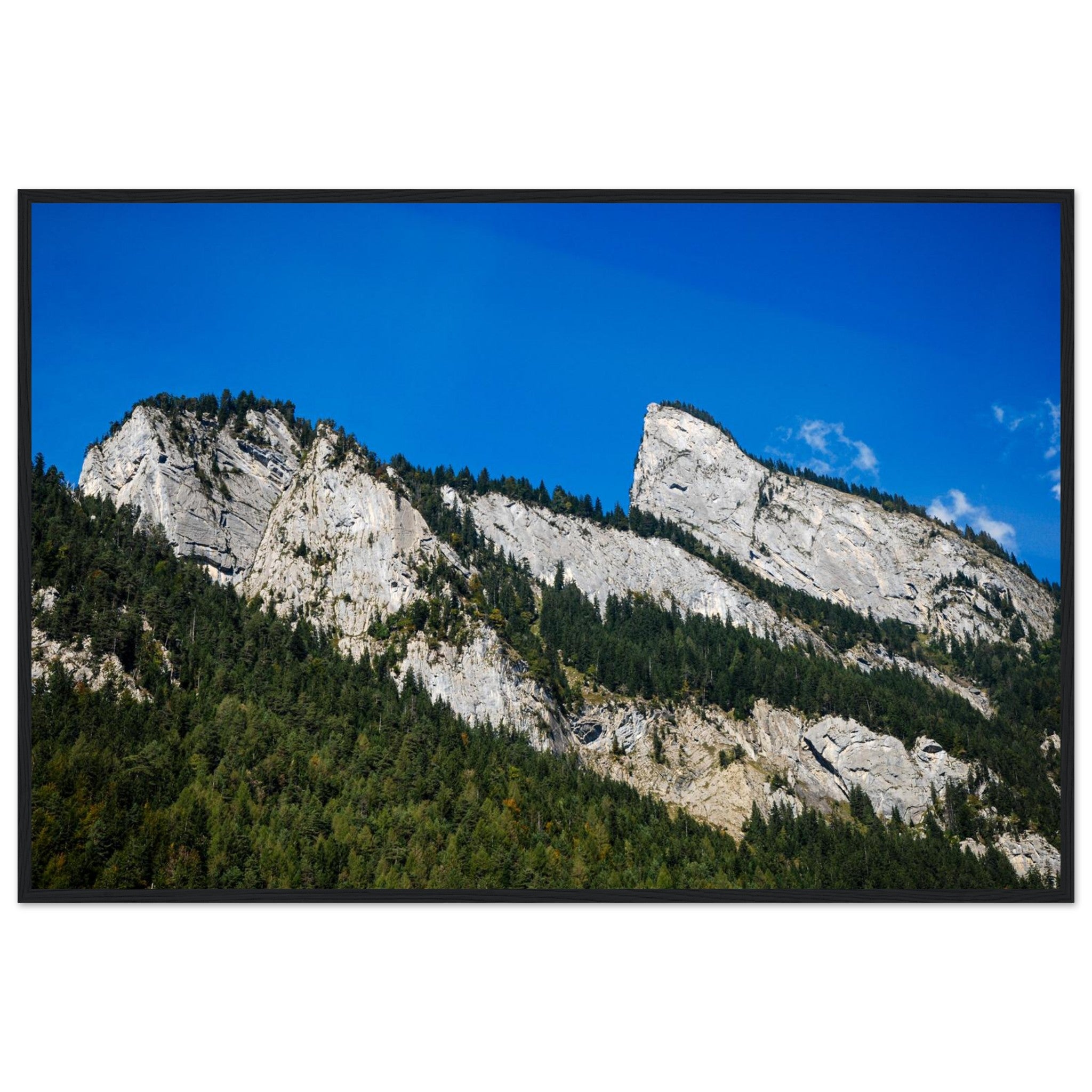 b3e288de-0df1-418f-86cf-5f1bb95722cc