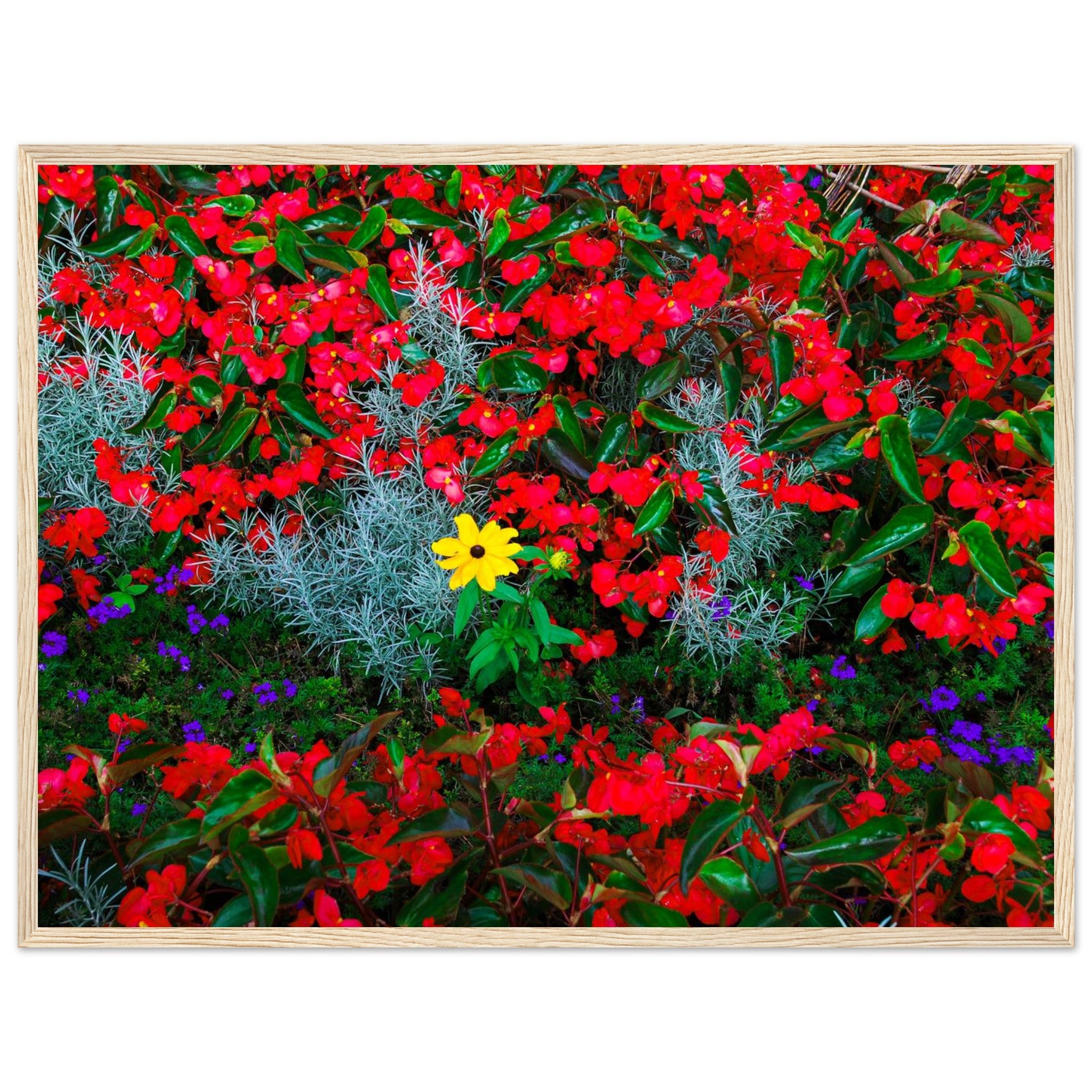 b4ffd28b-483d-4e06-b245-f2dd0a61fe23