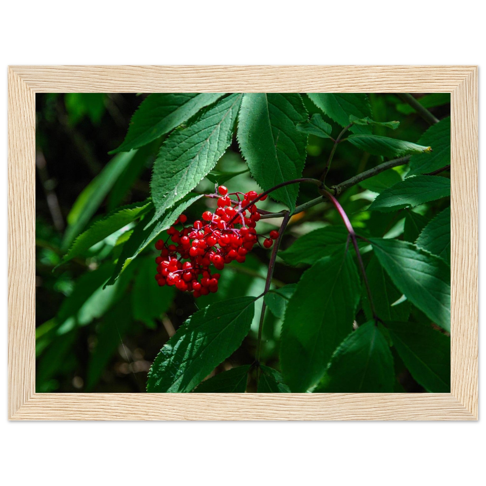 b55a9097-d296-404e-9393-e0e0a5ad26f5