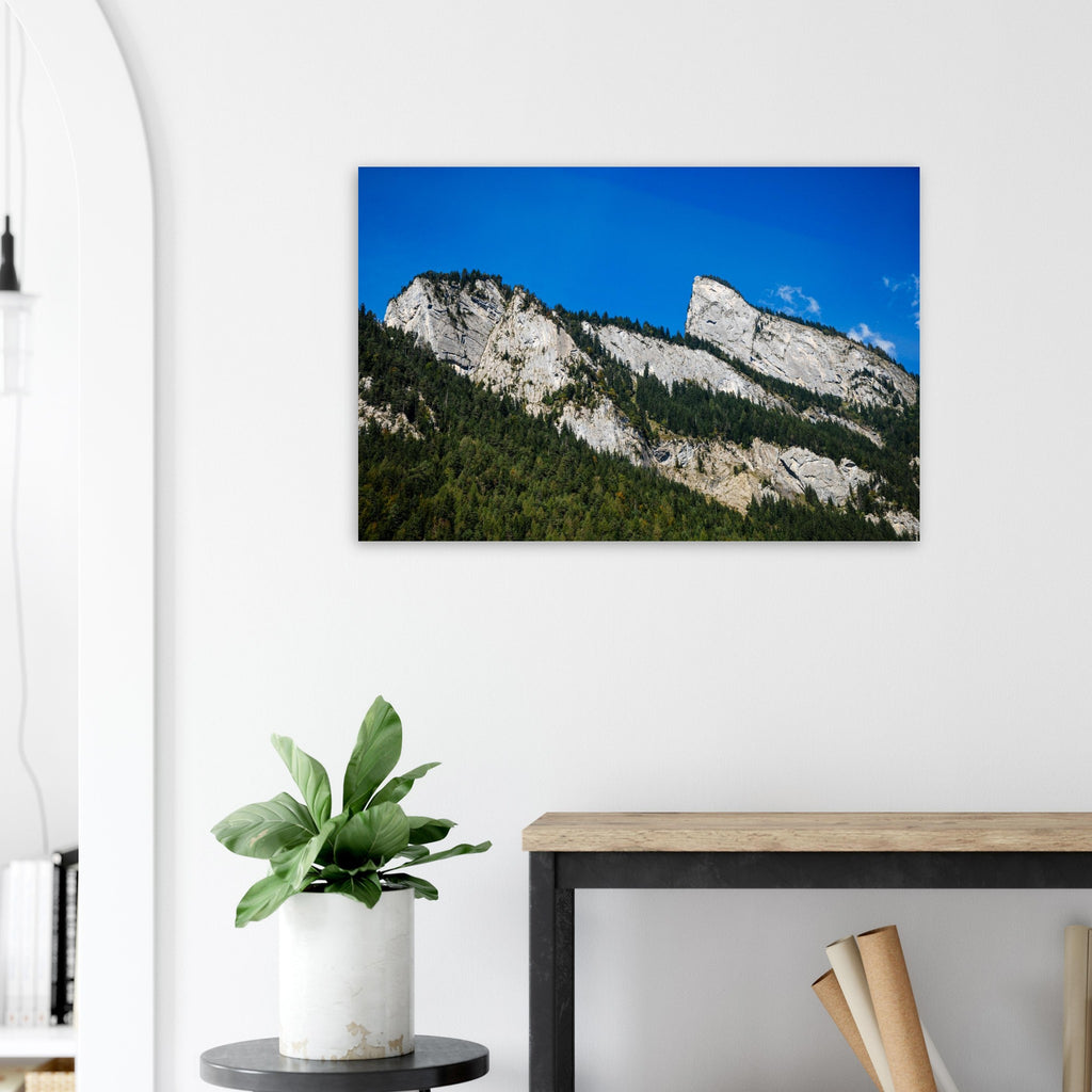 b55c9240-9640-44e4-8586-2a61087e7266