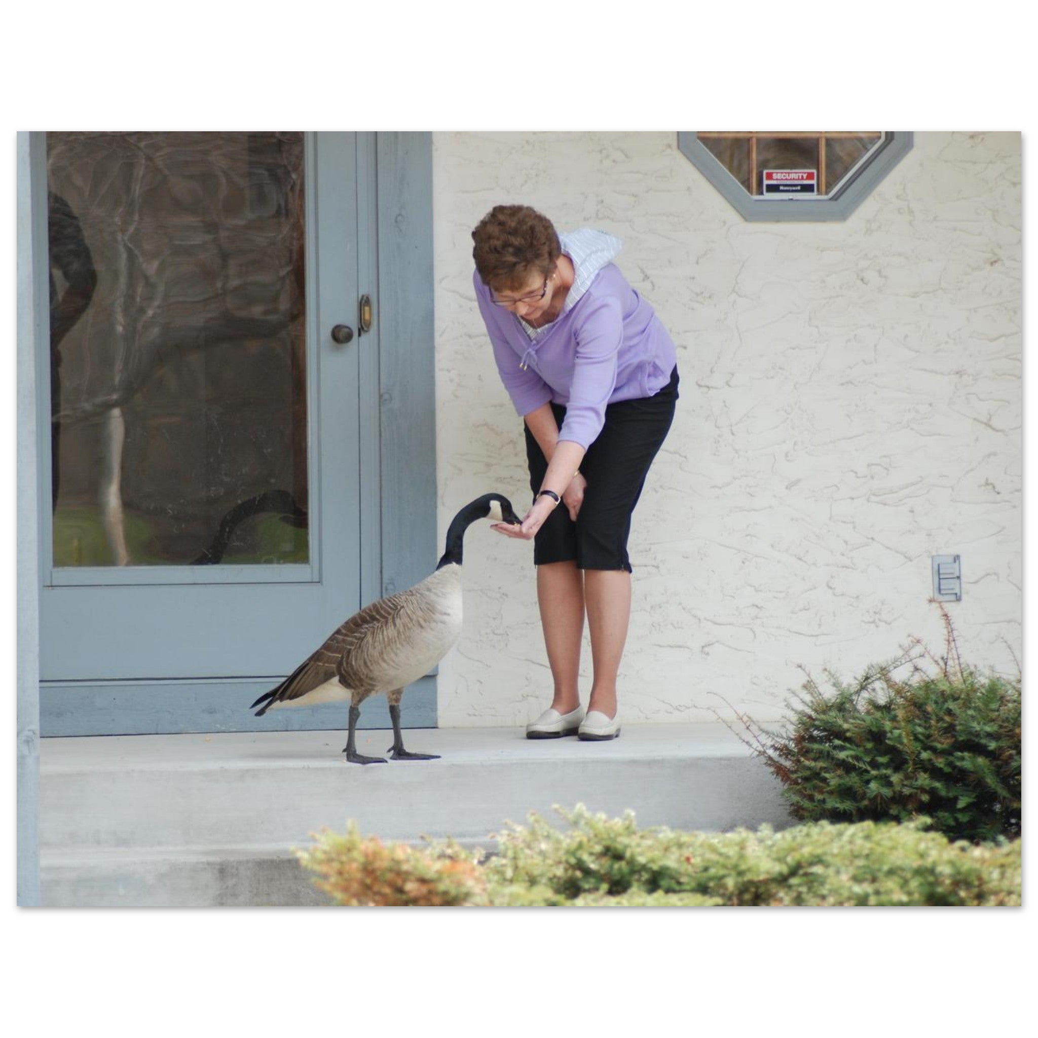 b5be99fc-c09d-46da-9883-125a5b66adc4