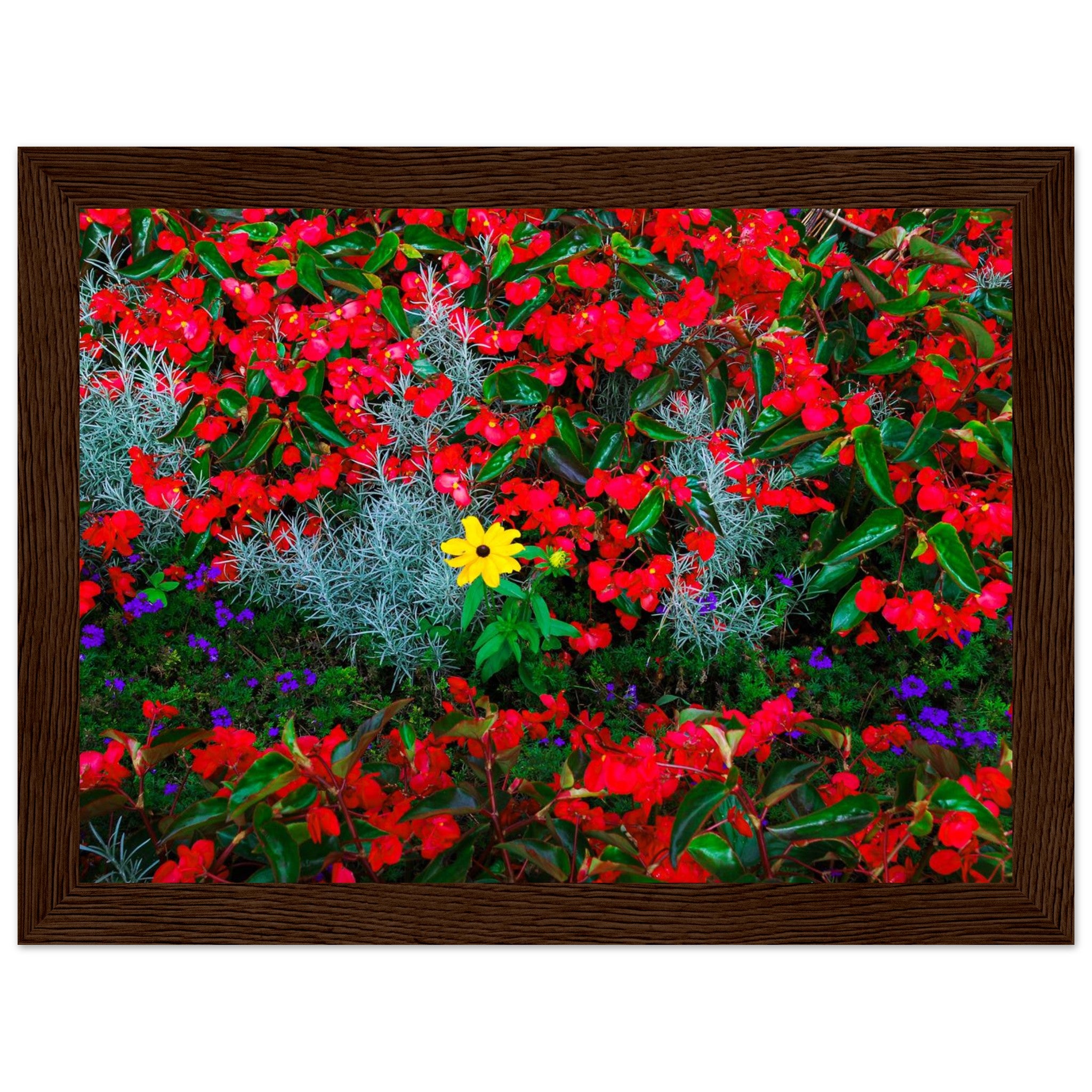 b7323e54-ddf3-4e25-8394-e563a67369e6