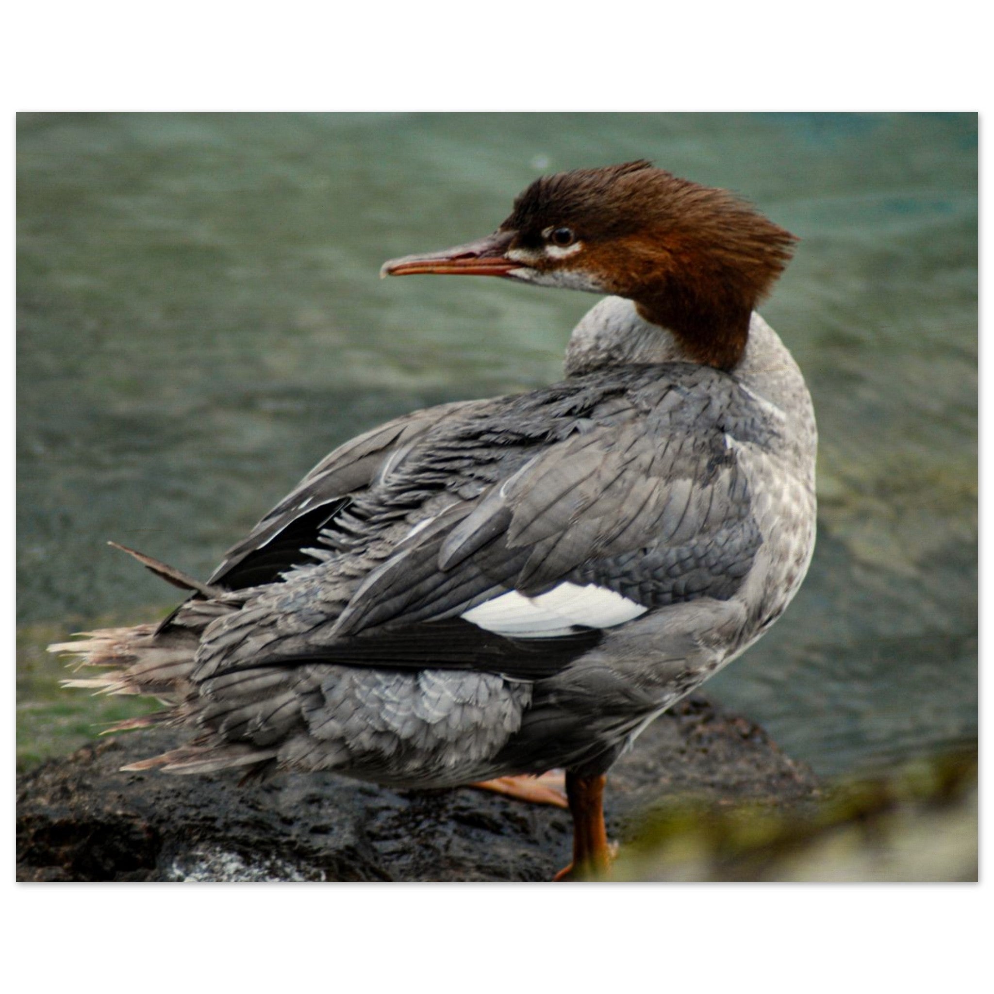 b85ea25a-36a9-4d5f-98bc-7e05fe623136