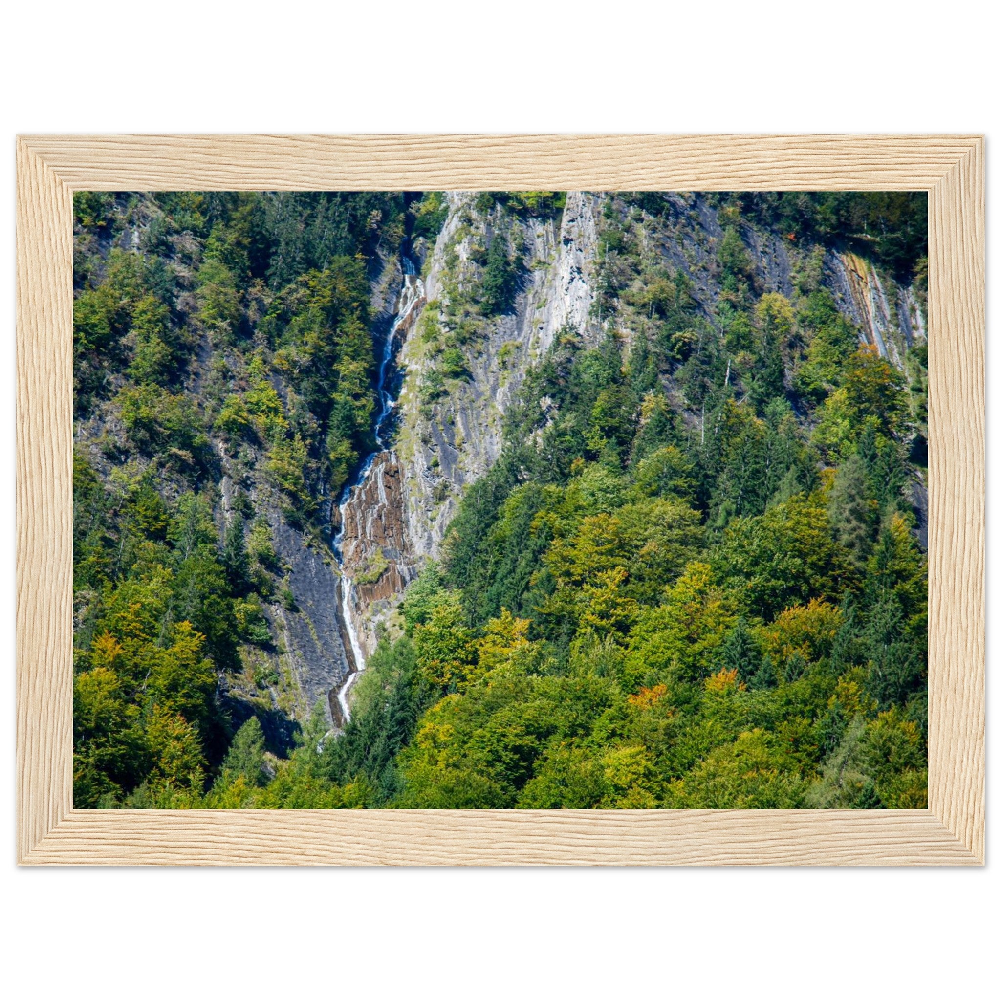 b8ad5f12-24fb-432c-a093-93d43a9b8e86