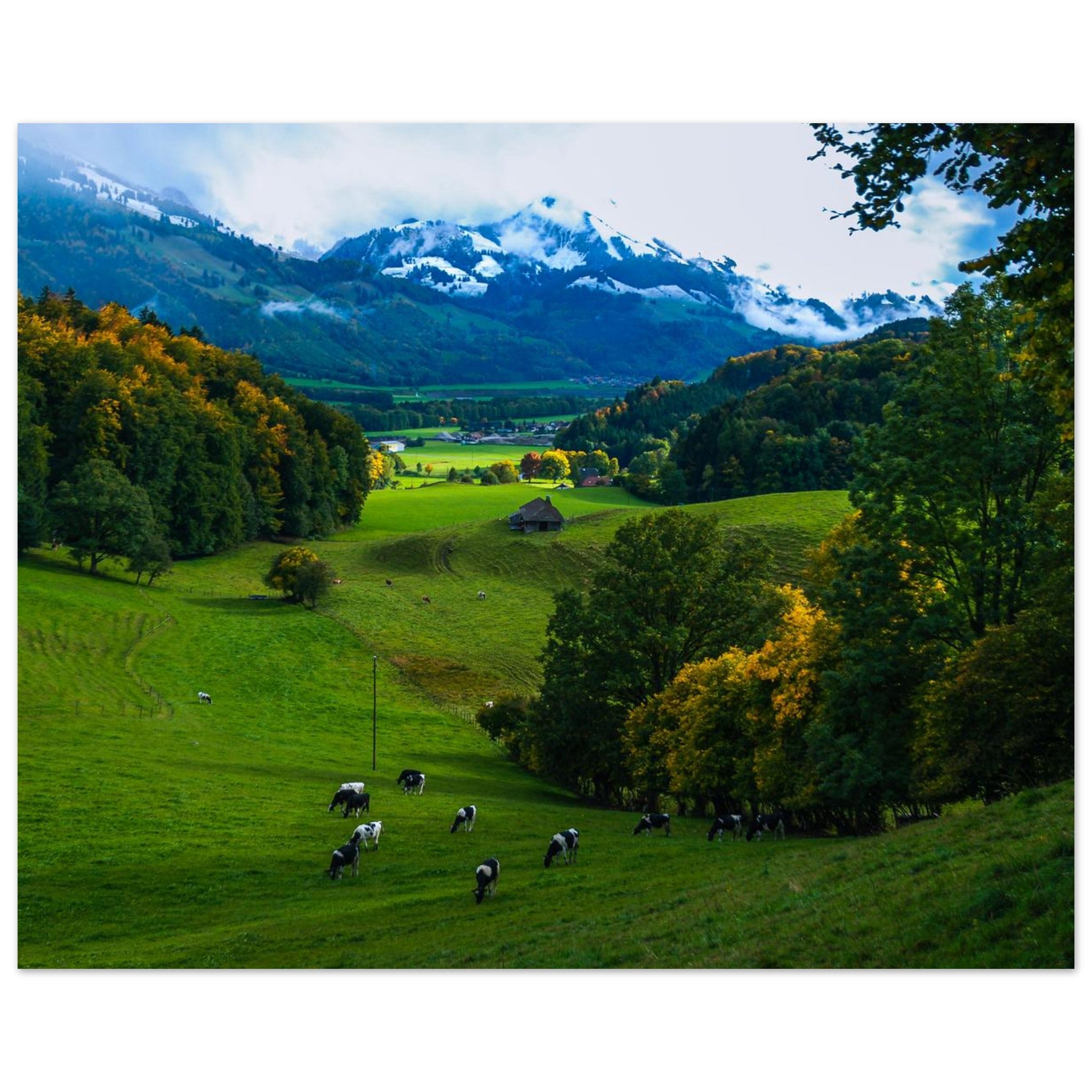 b8bd532a-d72e-4e4a-b025-fc7586a8dec0