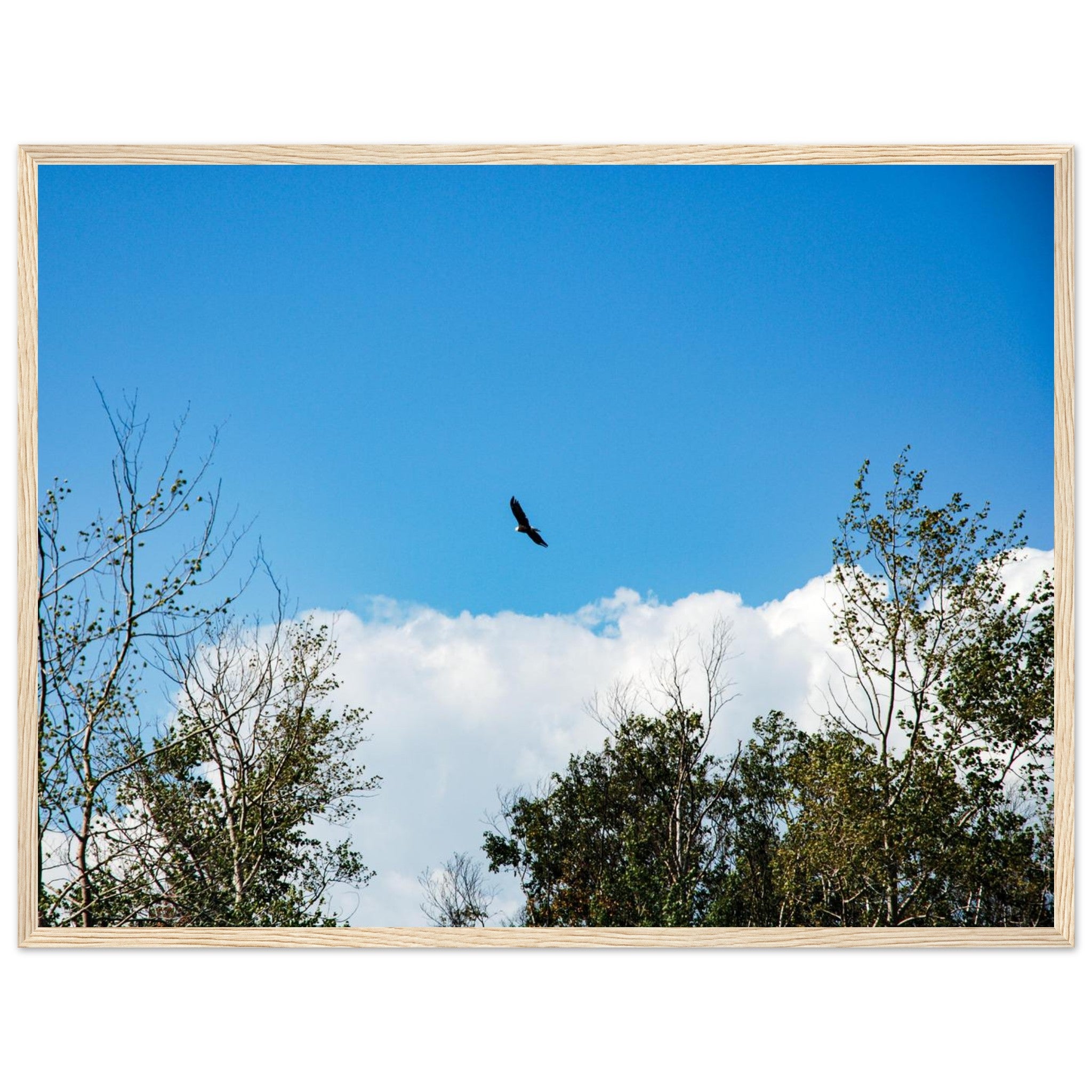 b8cc4a6a-496a-4557-859b-59078187b455