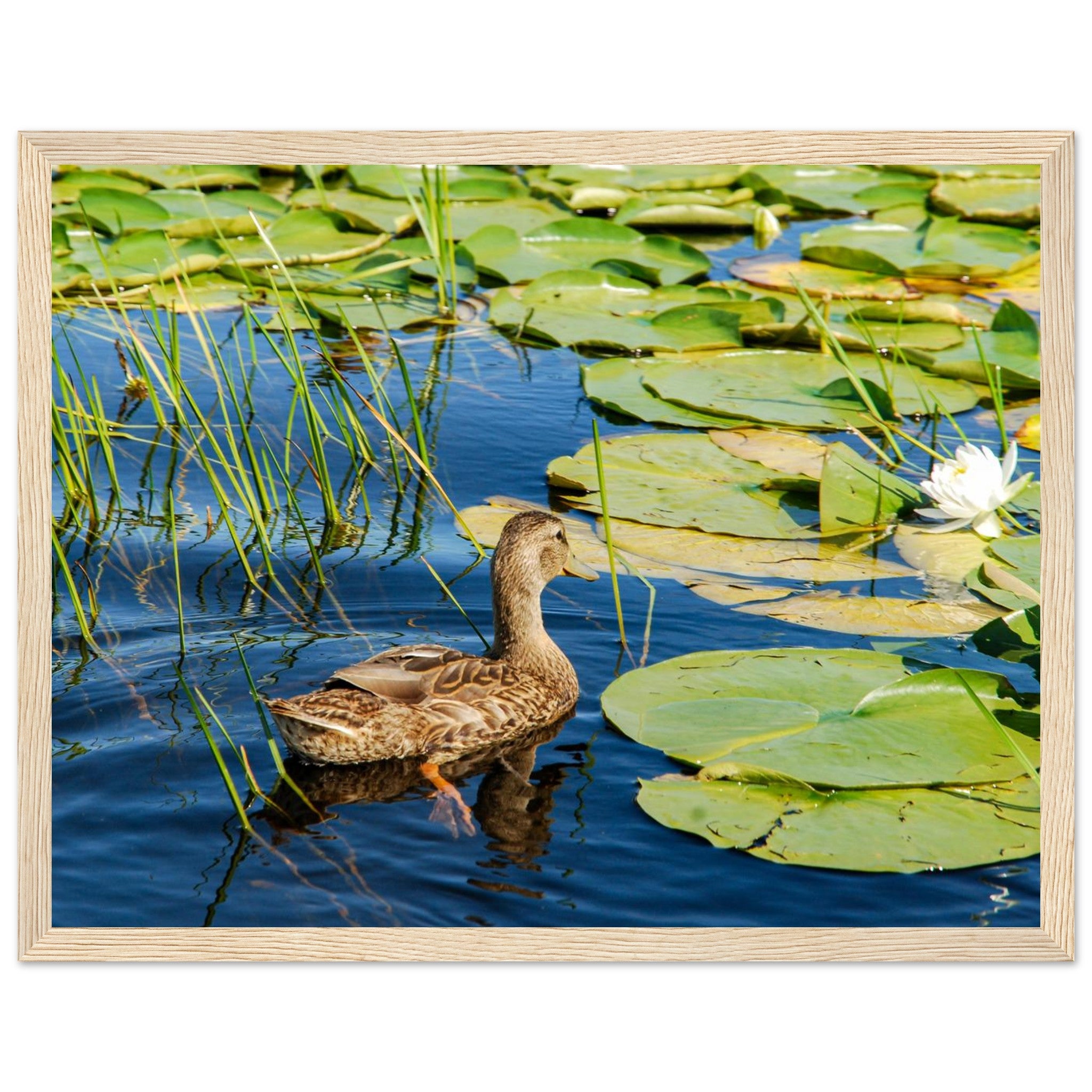 ba31949b-7886-4c07-bae5-5feccbc12d69