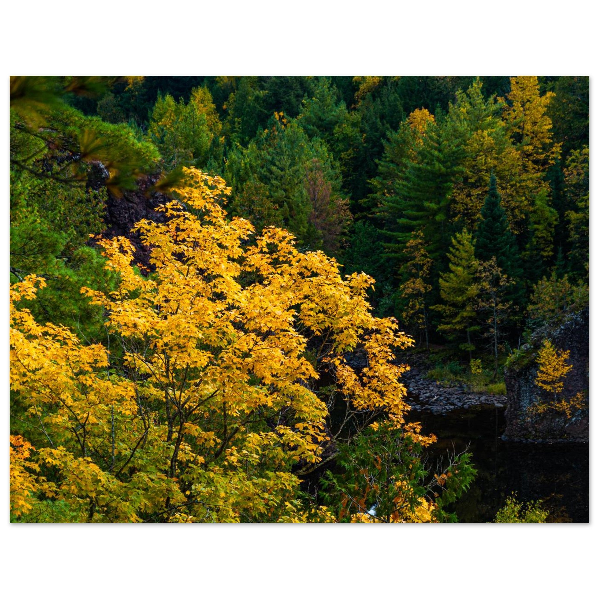 bdb8ac0d-4022-4973-83af-5c11b4070021