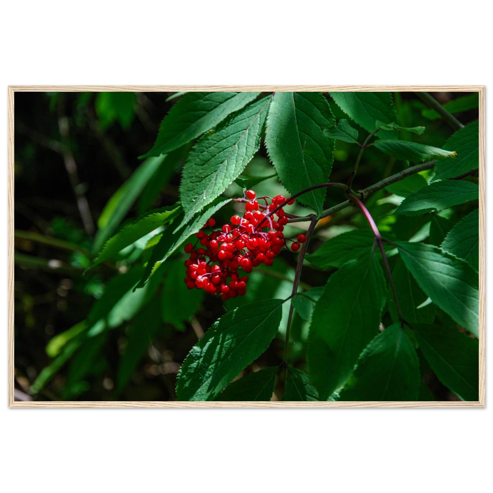 bea9d3d9-b4c2-4ec0-919f-bee953168f11