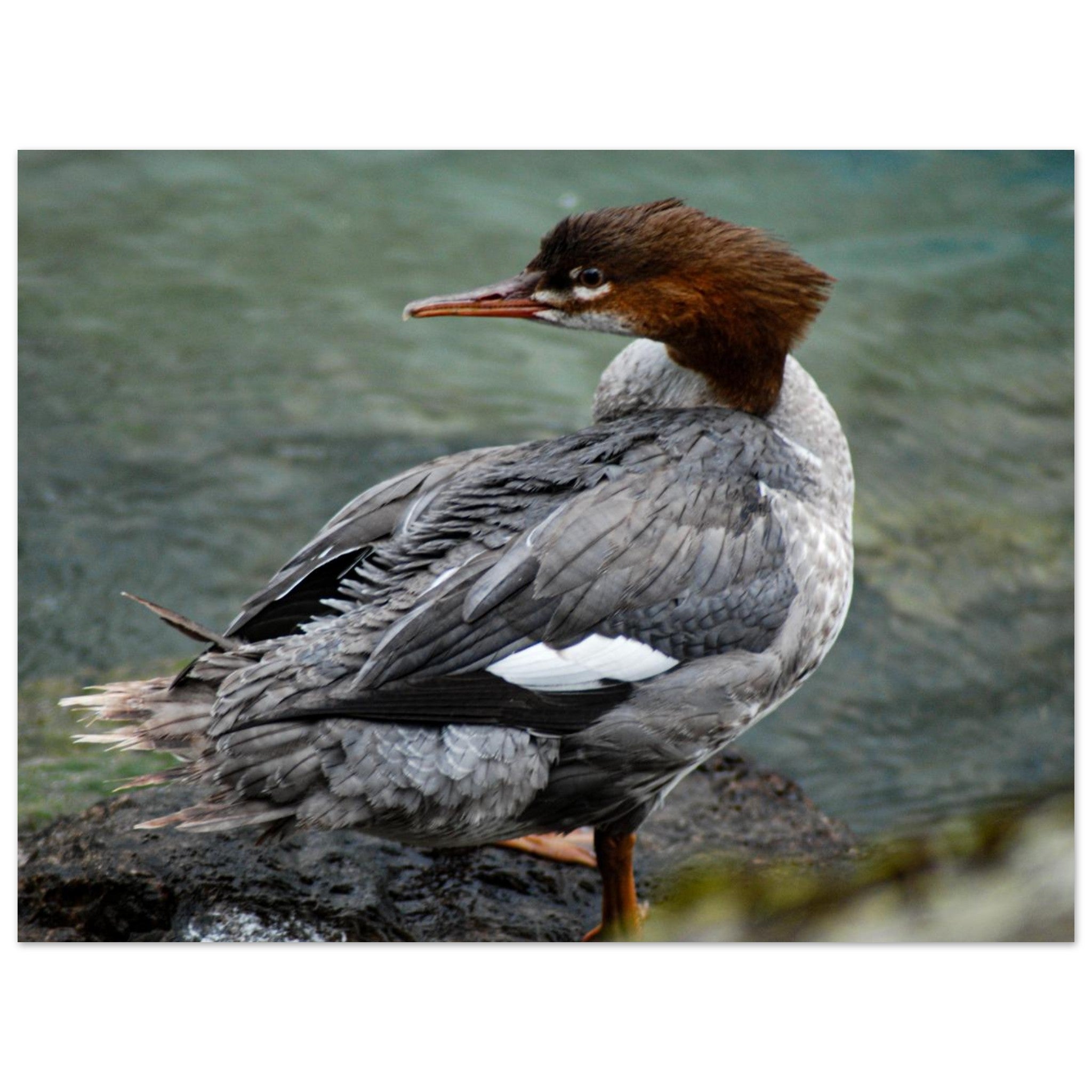 c3ad7b3e-14b9-4a45-9063-157a4579b538