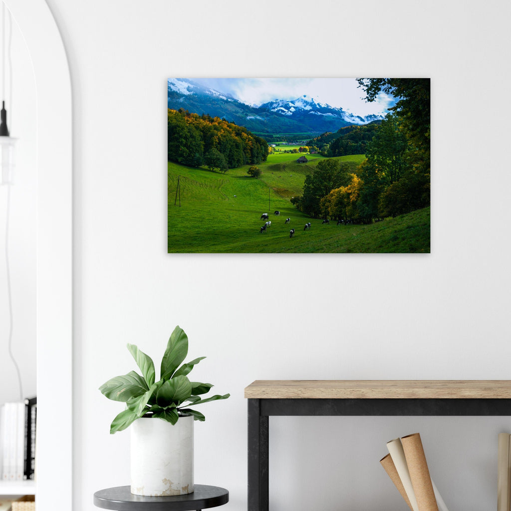 c4387980-fdd7-4c37-a18d-fc266943833f