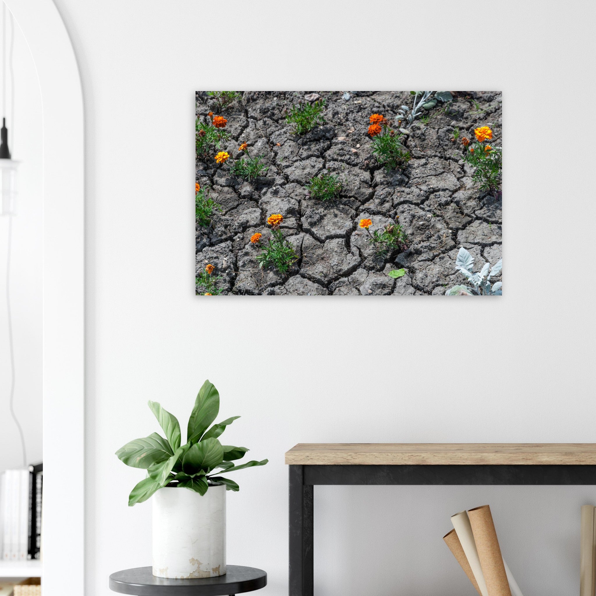 c5ea8759-3ab6-4772-8839-16ffd6b7f2f4