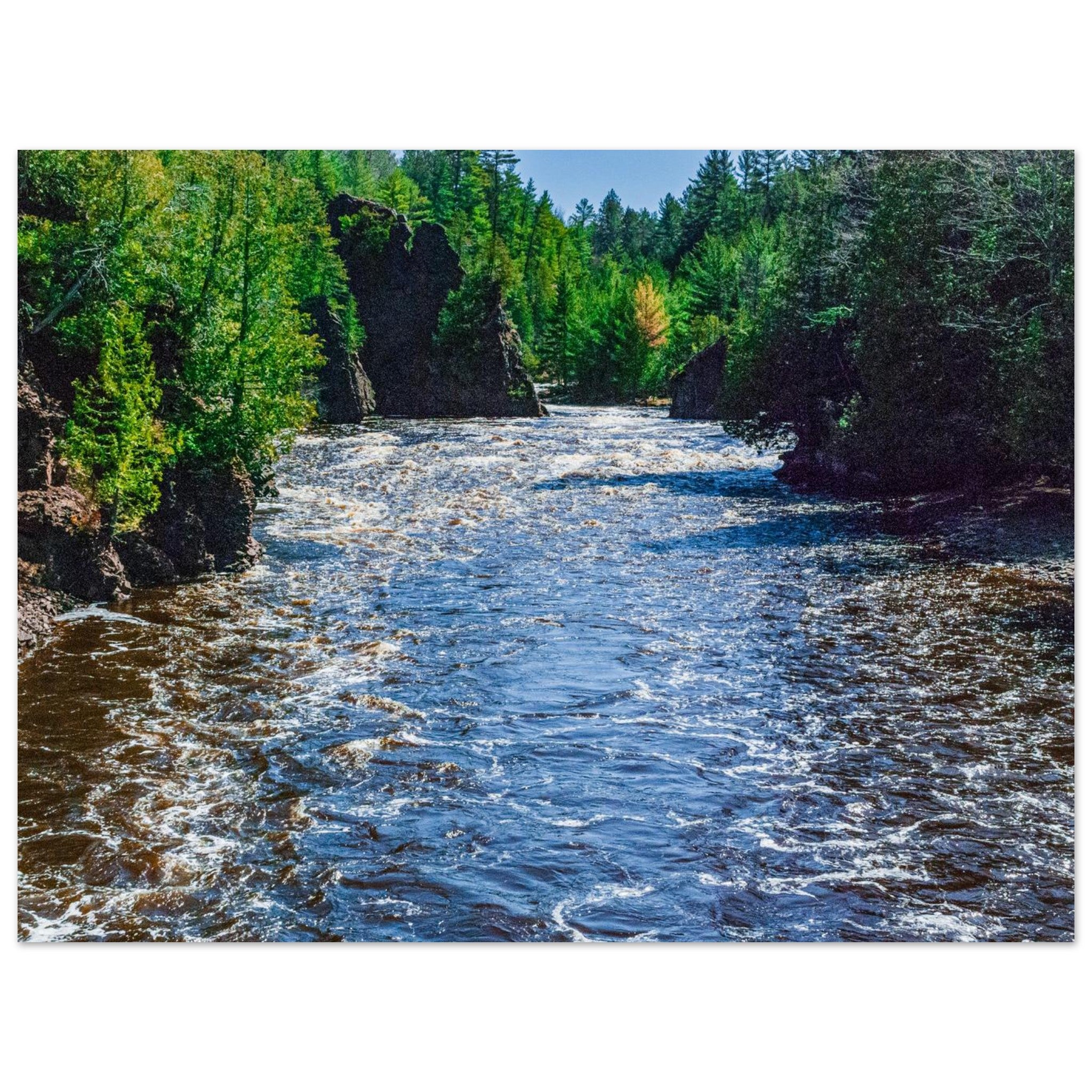 c65965b9-a5ab-4747-9ece-91bebbe603d9