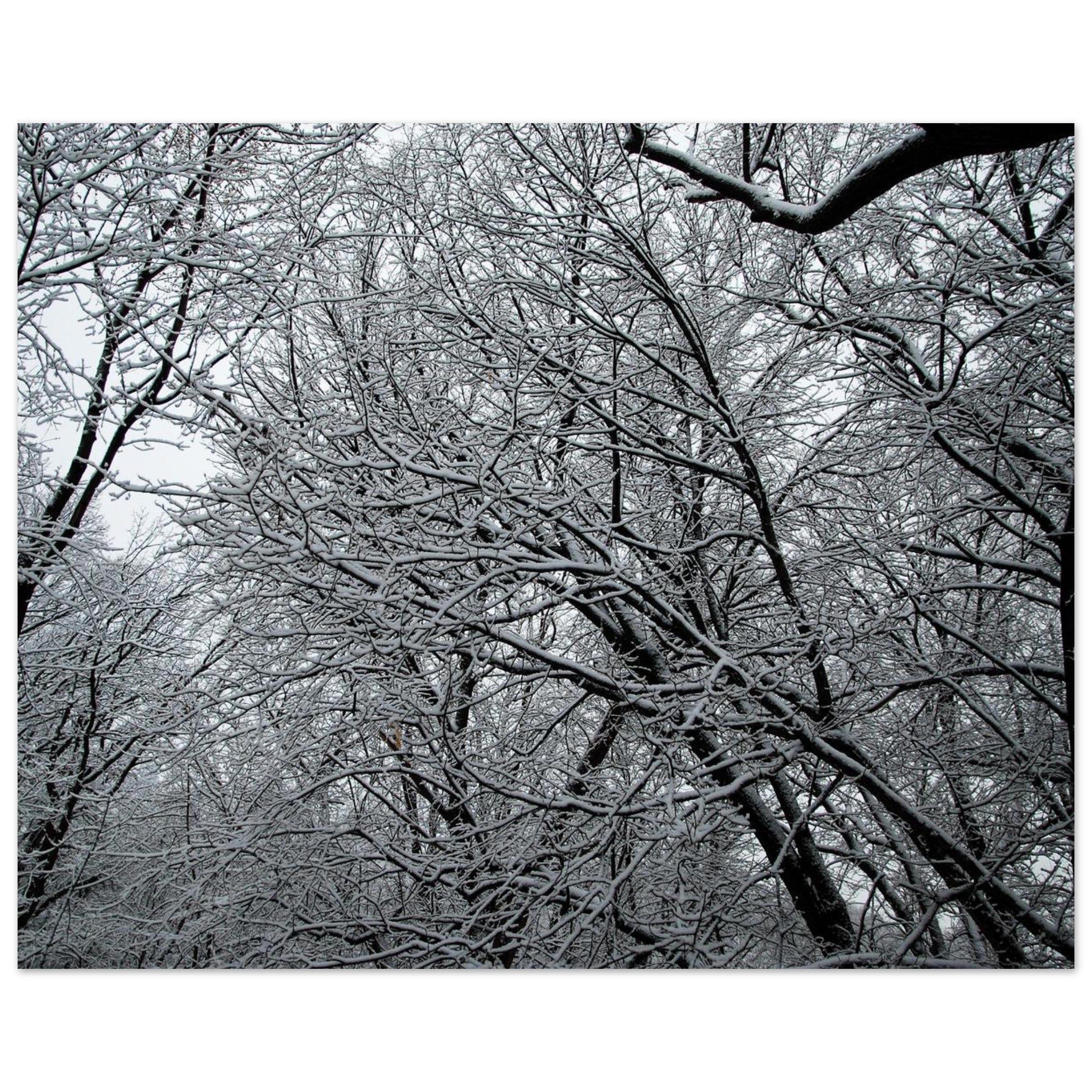 c68c082b-da47-4d1a-8617-0d25e300fdeb