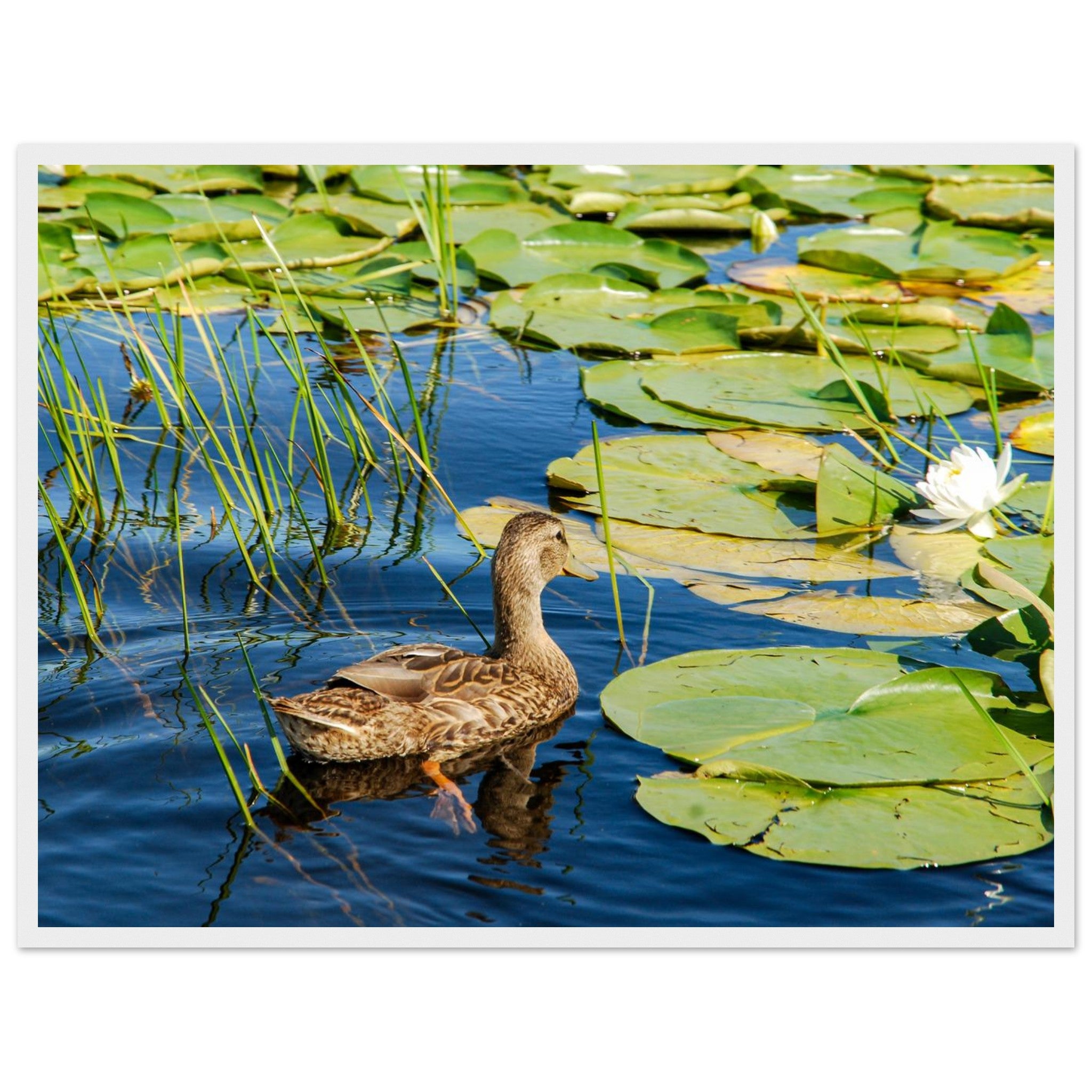 c9596cb6-eedf-489b-9cf4-348daf6b23b1