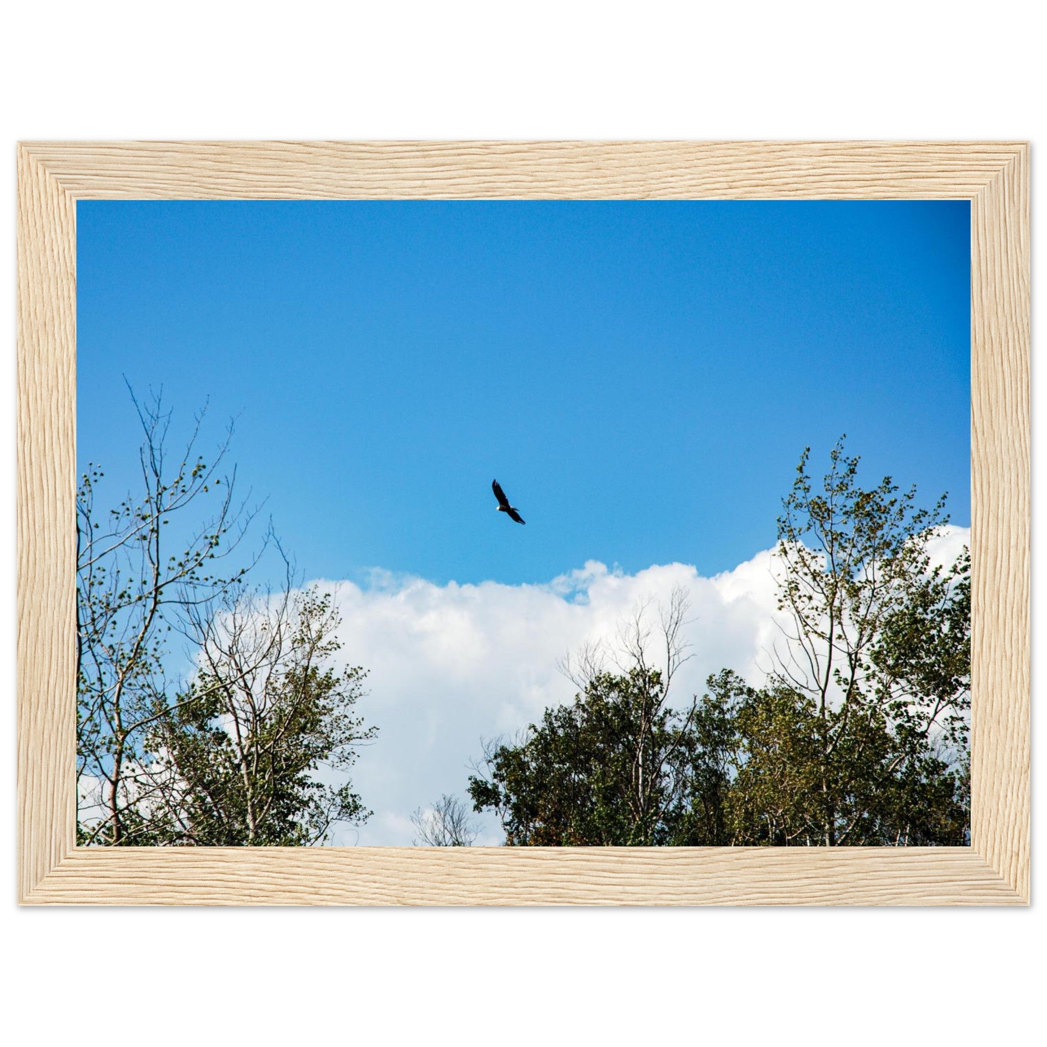 c9d62fd9-0f5d-4033-8ba2-d305f9a4e64b