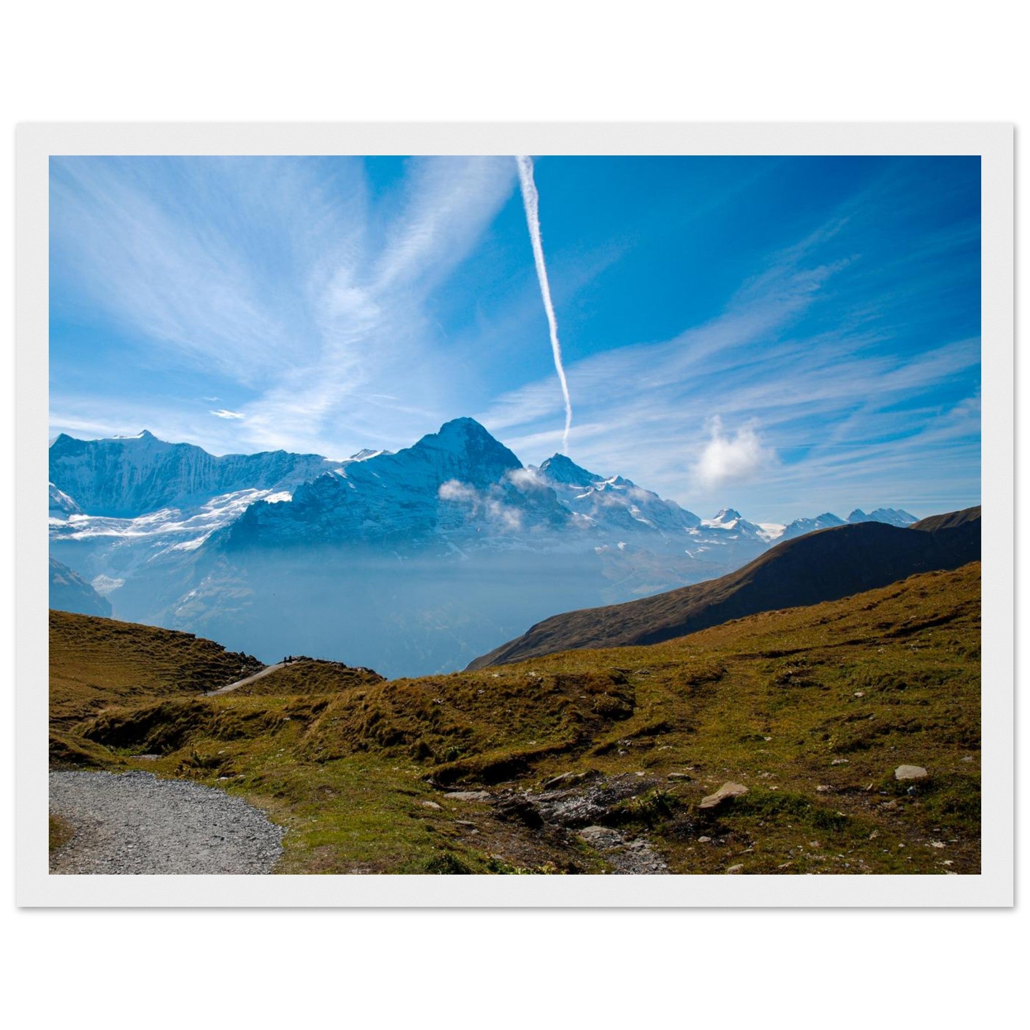 ca74e8a8-4c18-4ed1-a5eb-9e852b3b6e05