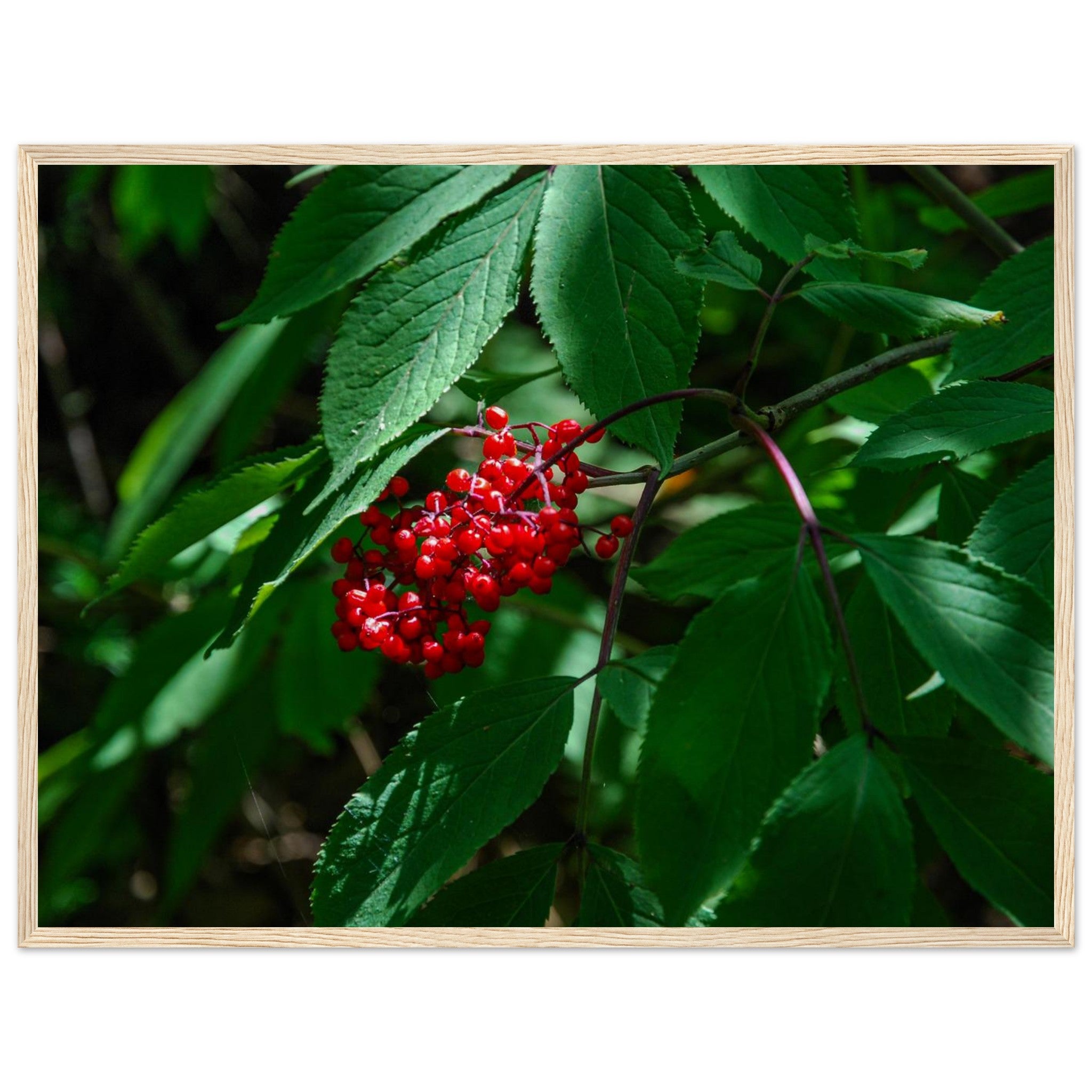 cb75f502-fdea-43ca-872a-b5f8108b6d37