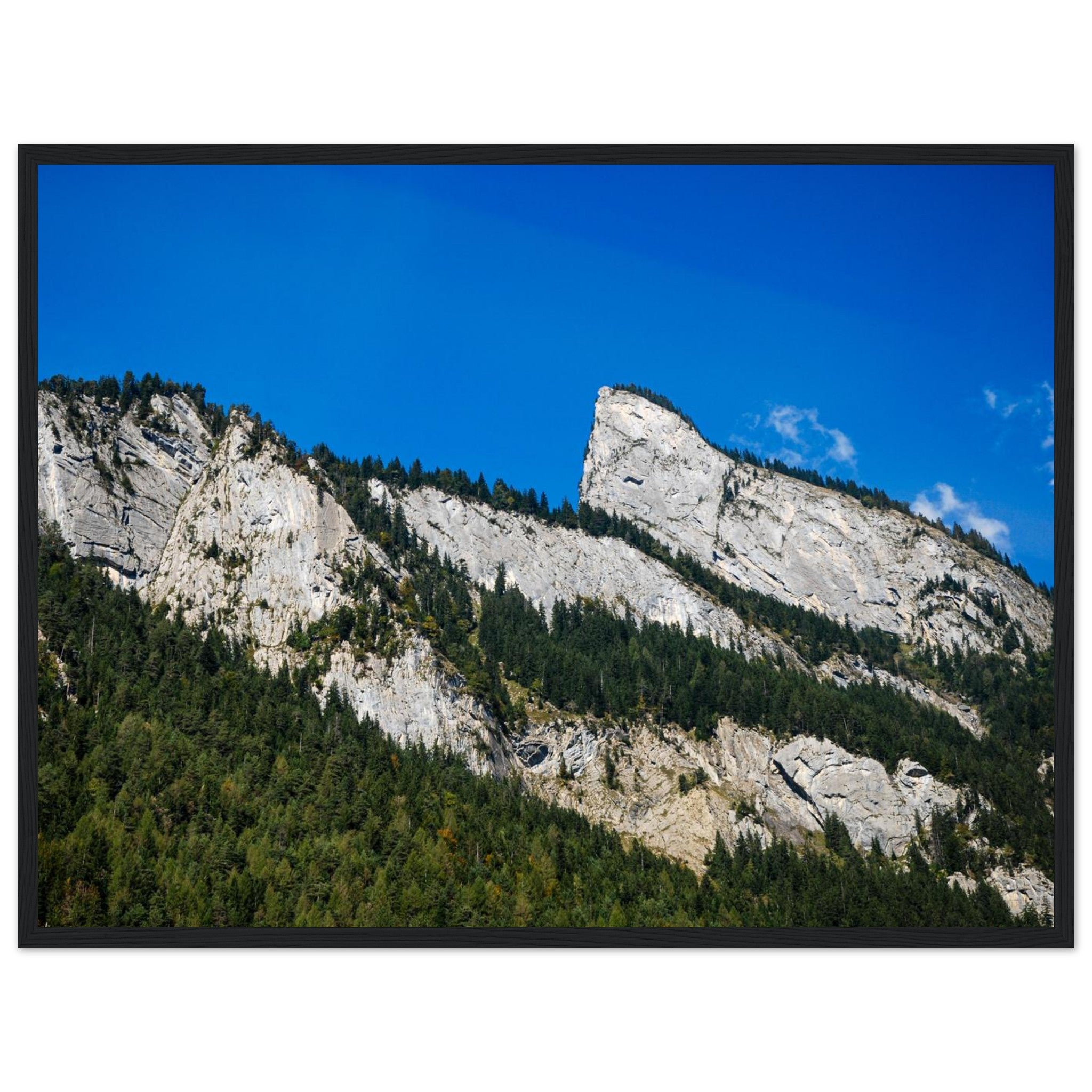 ccb5108d-b7fa-462c-98ab-a8930a138248