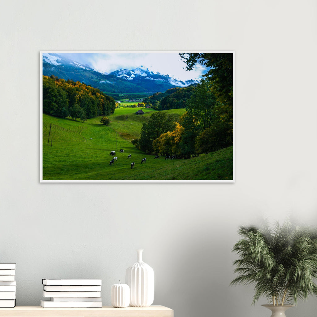 cddc84e5-cc74-4650-986c-e556212a4ad3