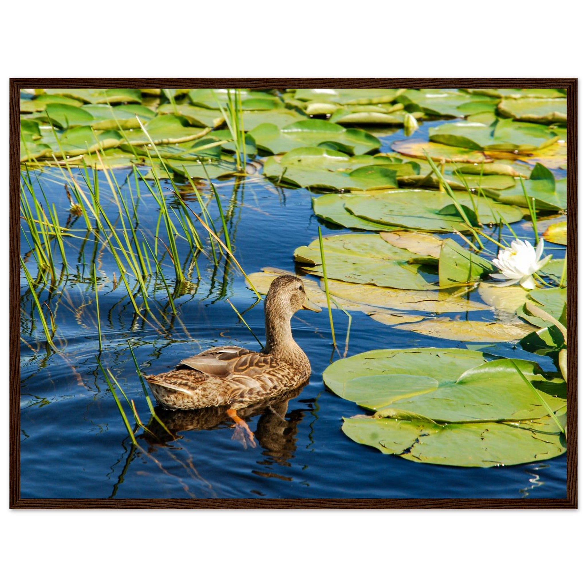 ceff4427-7ea1-4d01-bc31-79b7d9844996