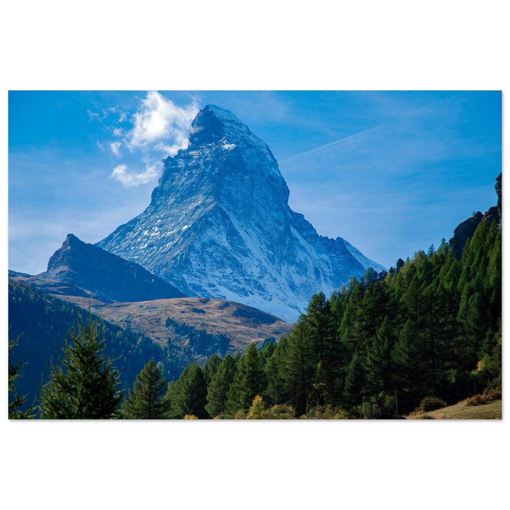 cfabcba1-5303-4a23-b17e-c83f341fdb5a