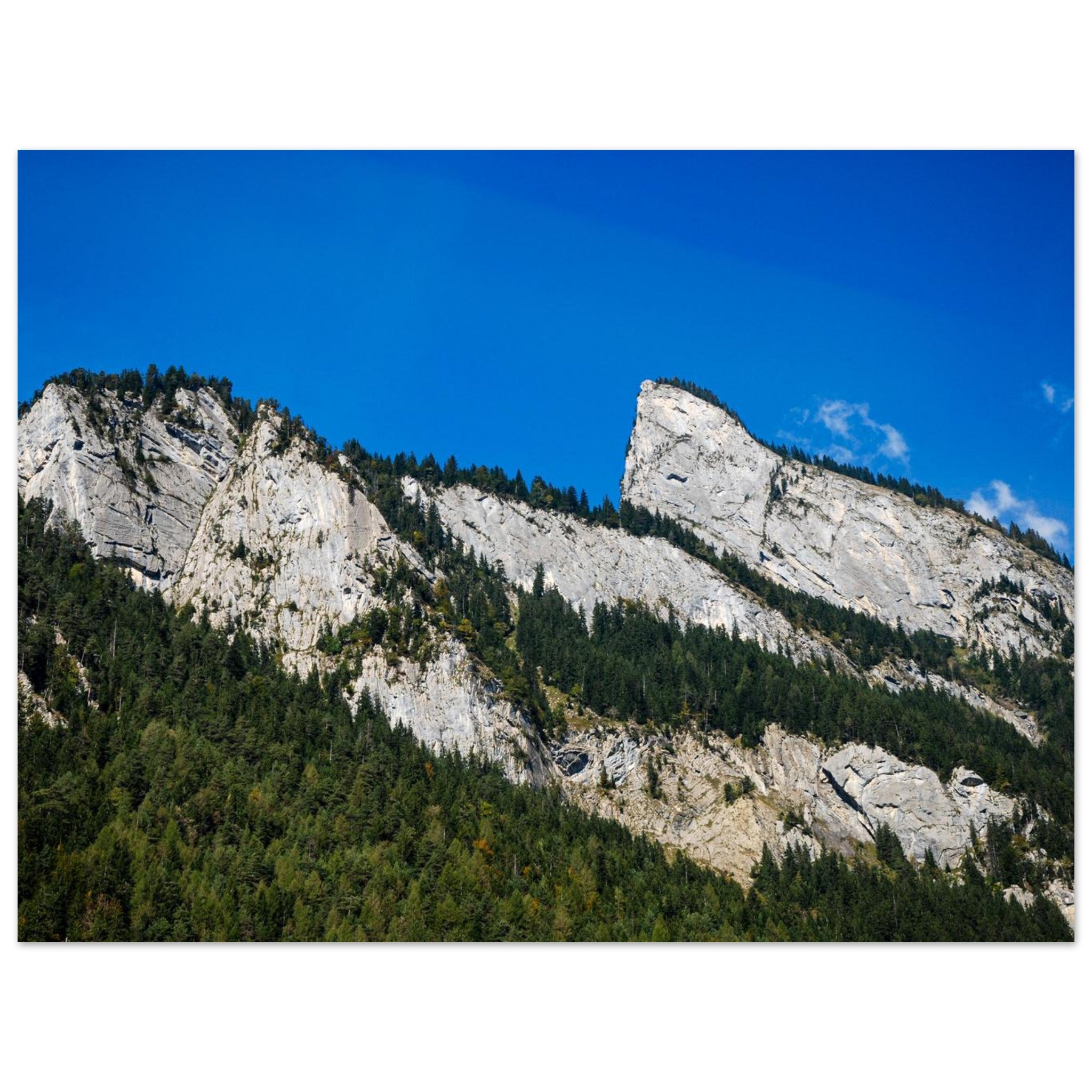 cffe4f49-594e-4319-b907-a62fd3205a24