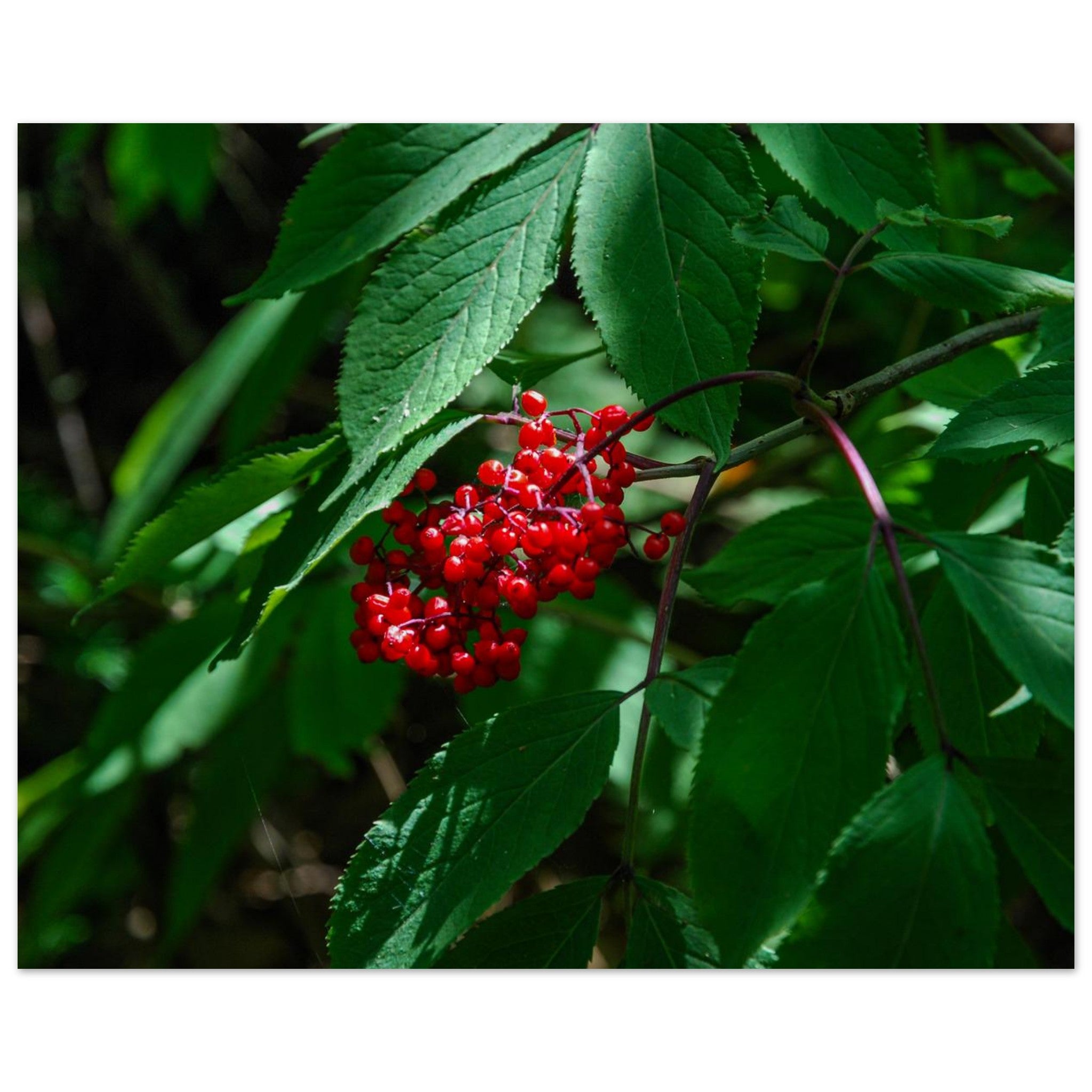 d18d2a08-fa51-4fe8-83ab-cc6bc0c11066